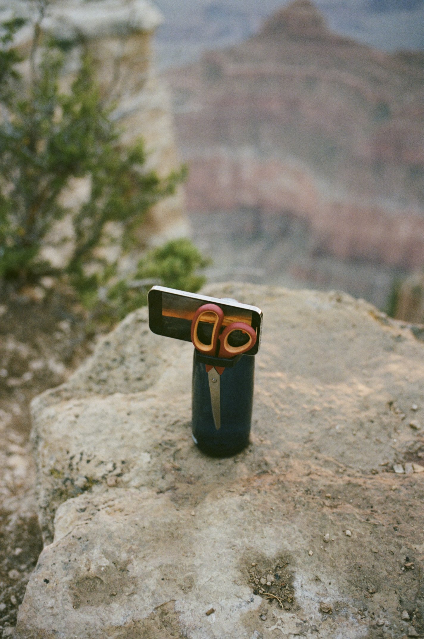 24-09-26_DZ_Journey to Cali_27.jpg