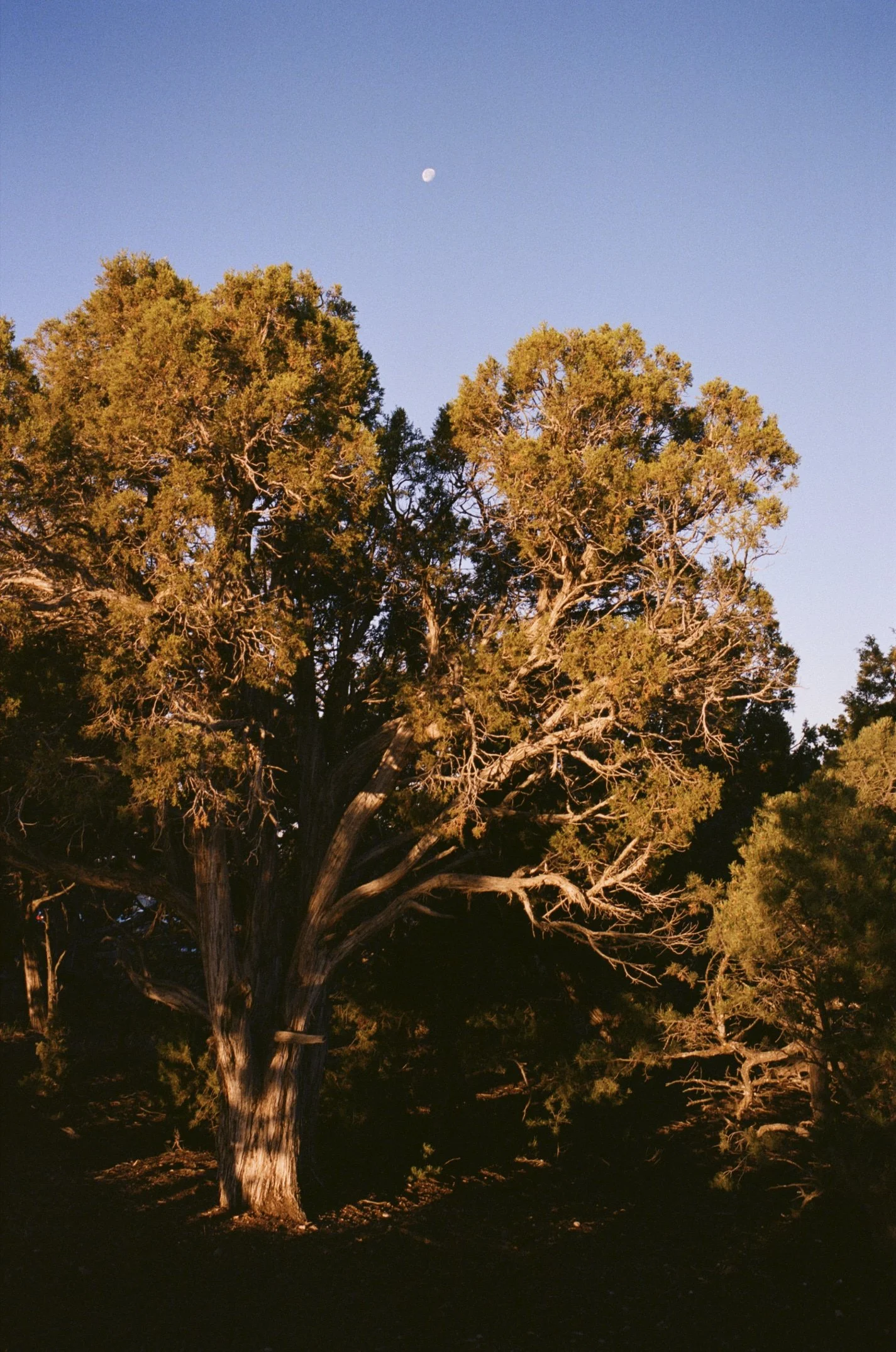 24-09-26_DZ_Journey to Cali_25.jpg