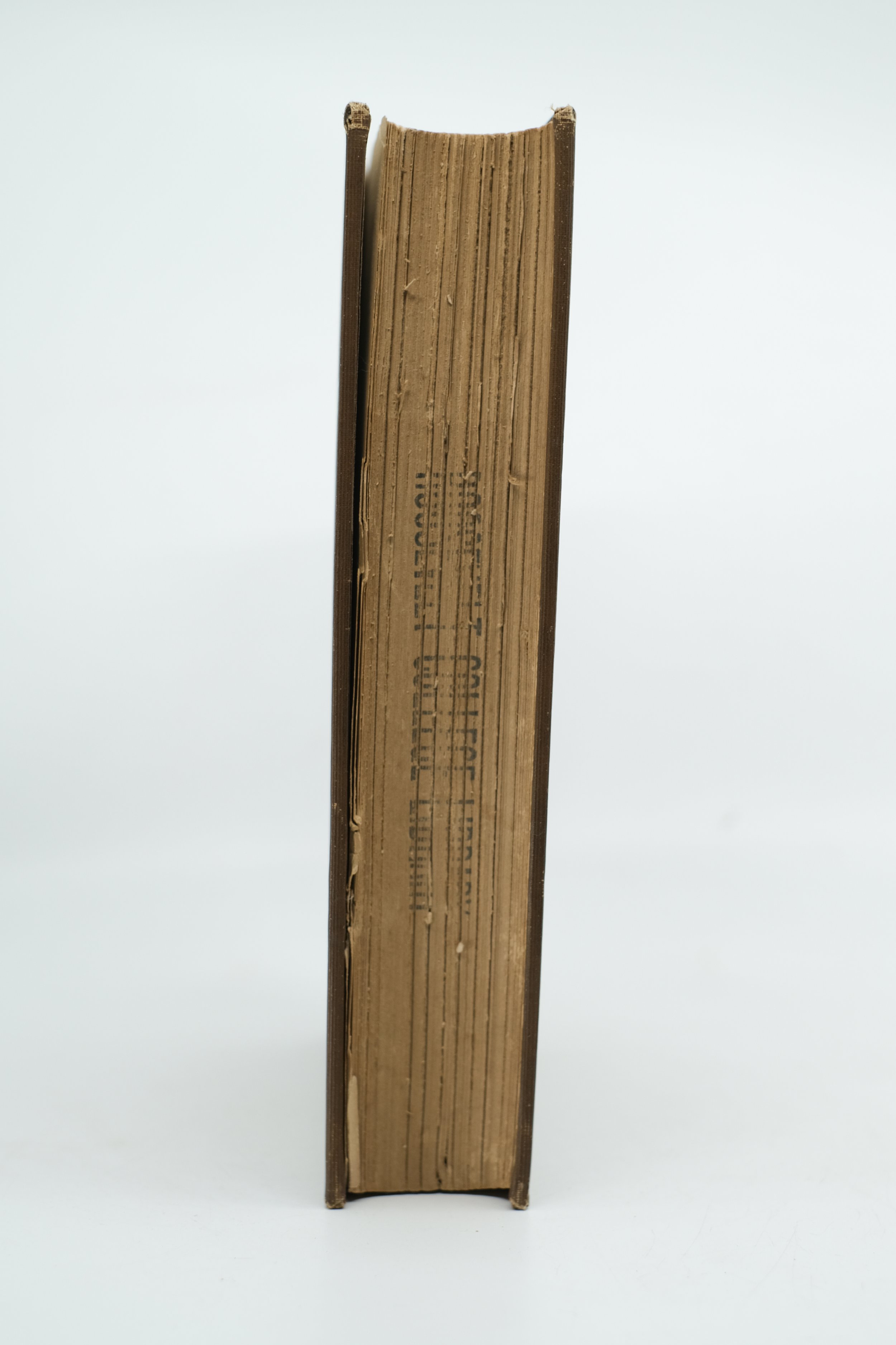 DSCF0382.jpg