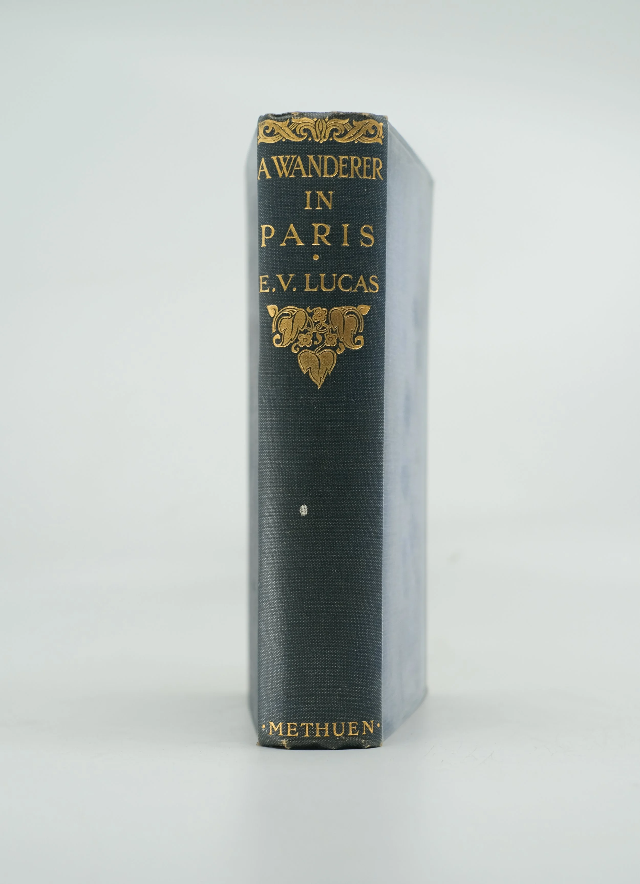 A WANDERER IN PARIS