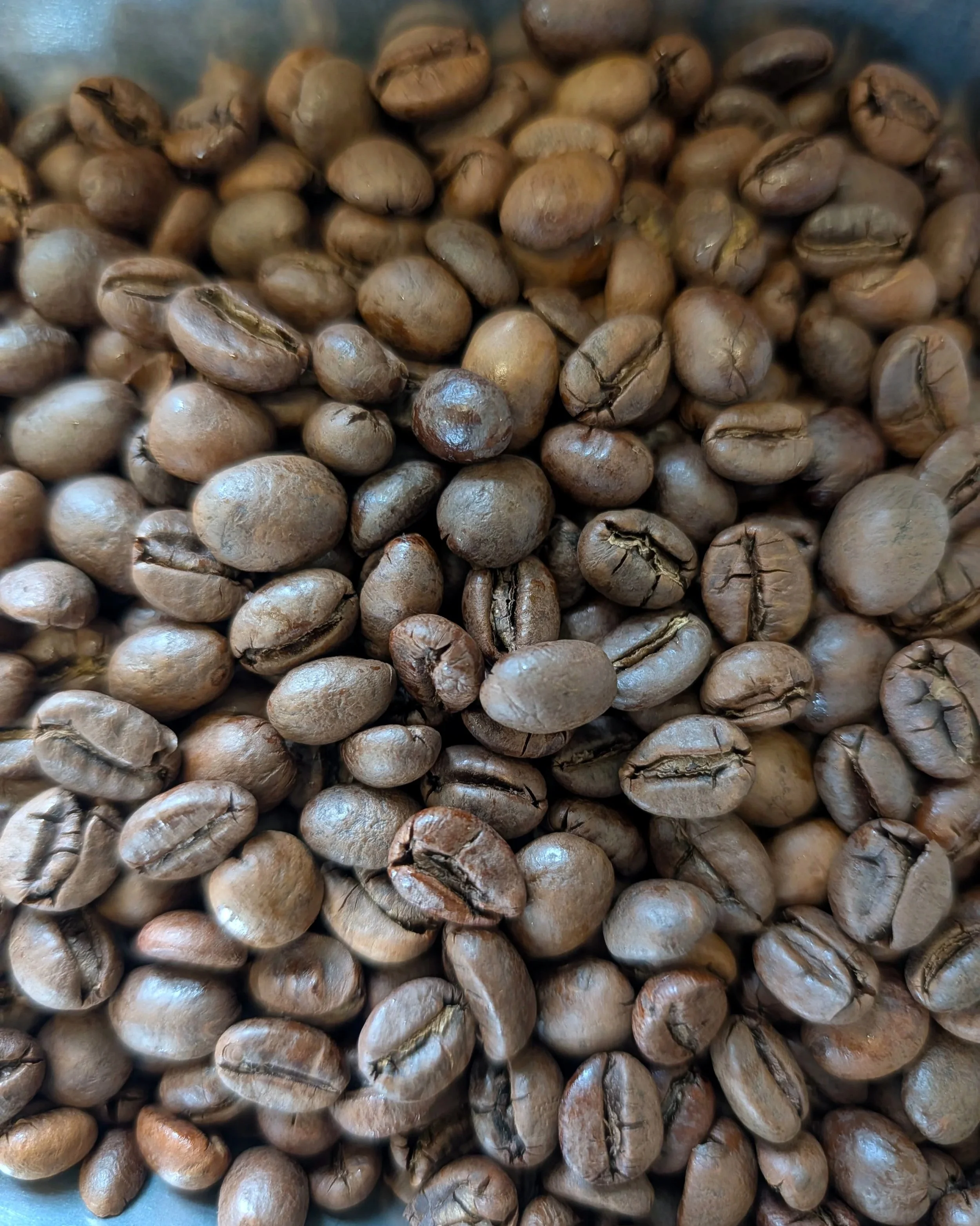 A close up of roasted specialty-grade Vietnam-origin Robusta coffee beans
