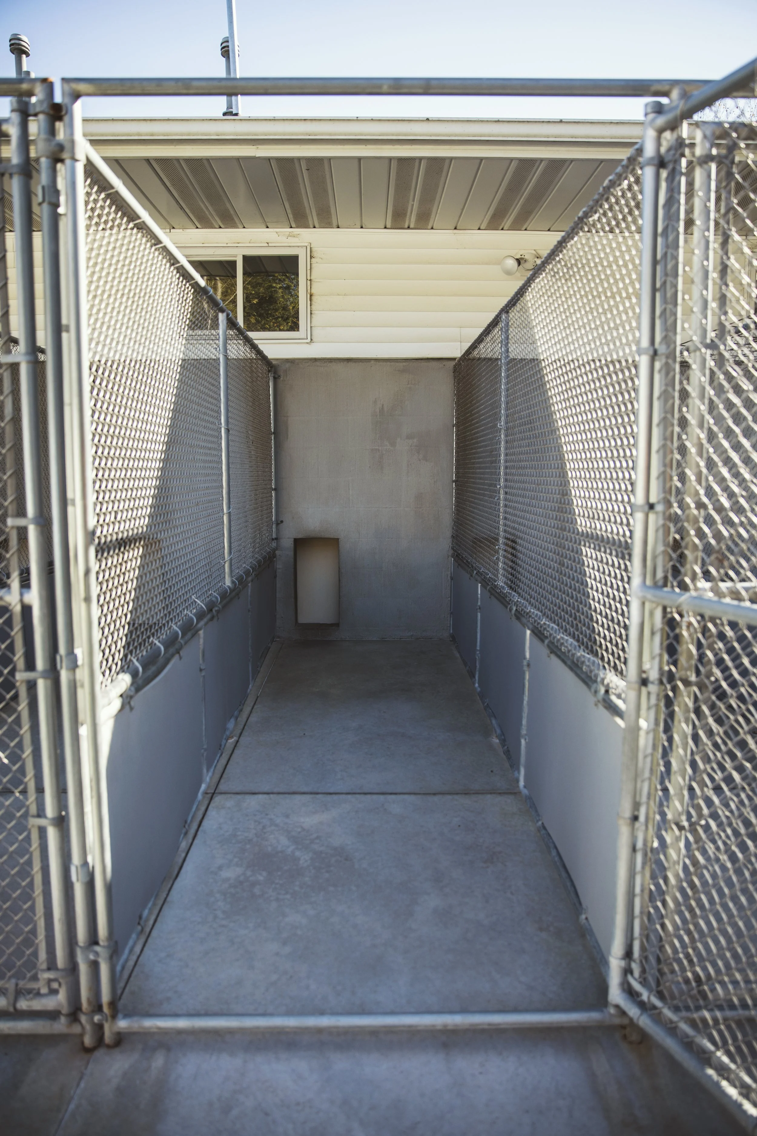 Cattery Country Boarding Kennels Country Roads Boarding Kennel