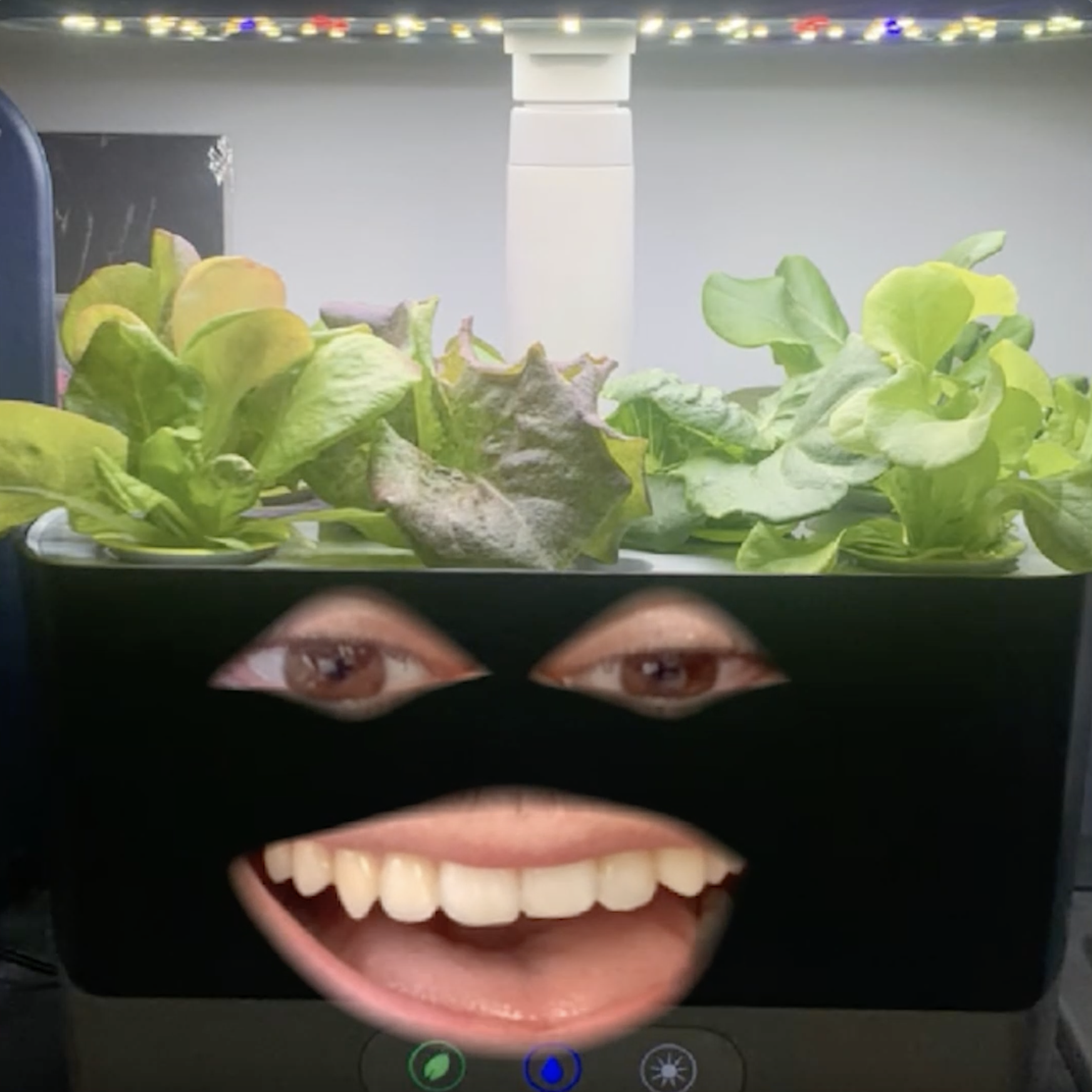 Screen Shot 2023-03-01 at 1.42.41 PM.png