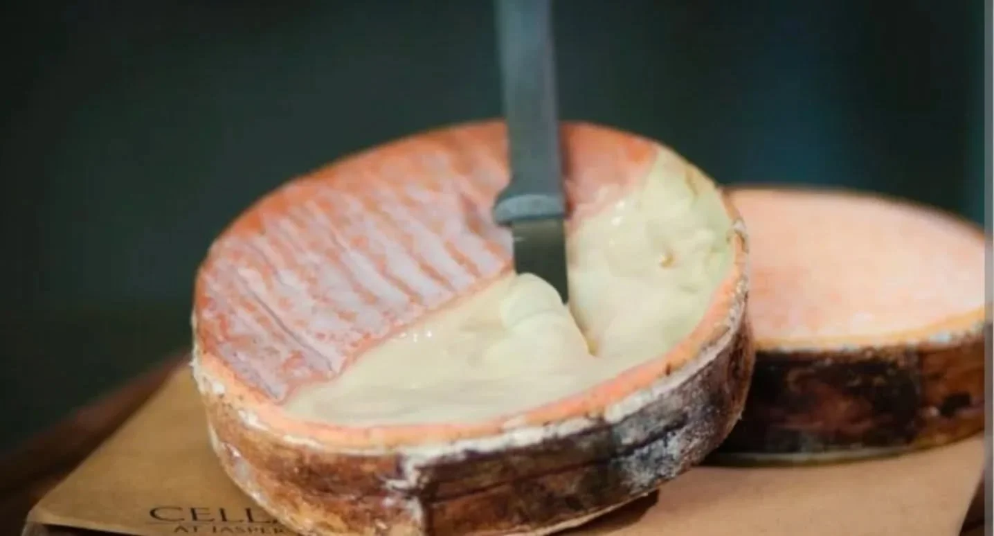 Another fun party cheese is @jasperhillfarm 𝙒𝙞𝙣𝙣𝙞𝙢𝙚𝙧𝙚, a take on Jura Mountain classics like Vacherin Mont d'Or and F&ouml;rsterk&auml;se. This decadent cheese is only made during the winter months when their Ayshire cows produce rich, hay-f