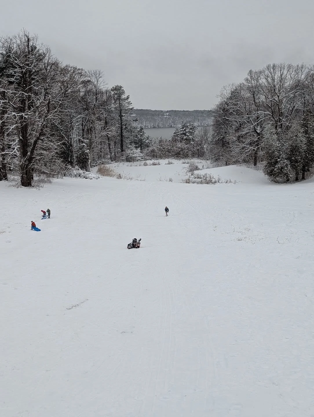Storm Update!

As we all prepare for this weekend's storm, we wanted to share our plans. We're open regular hours today 9am-6pm and hosting @beckhookpride game night from 6-8pm. Come on by!

We'll be open regular hours (9am - 6pm) on Saturday. Our pl