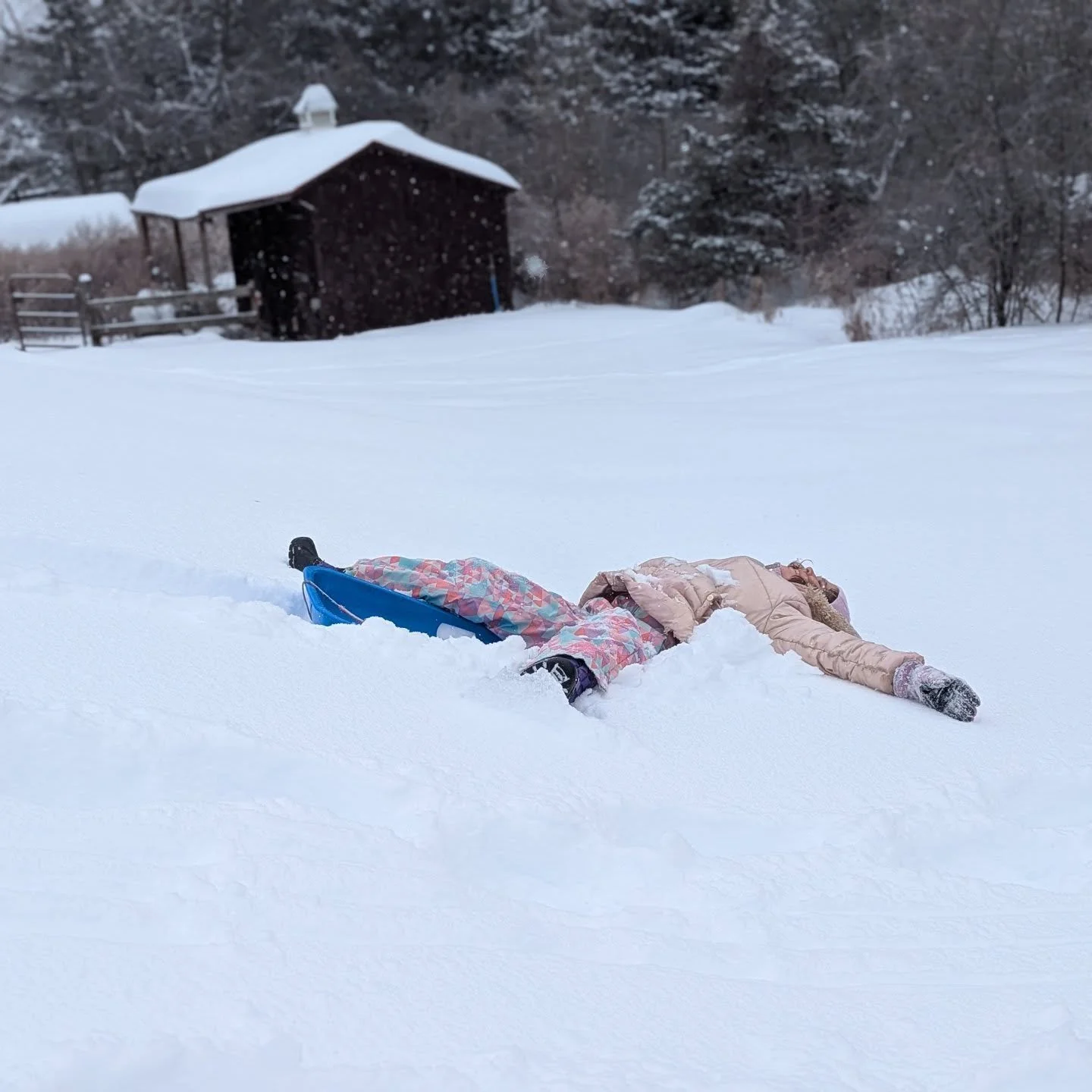 We'll be closed tomorrow (Monday). Stay safe &amp; warm out there, and off the roads. 

Open until 6pm today for last minute storm snacks! 
🧀🥨🍺❄️