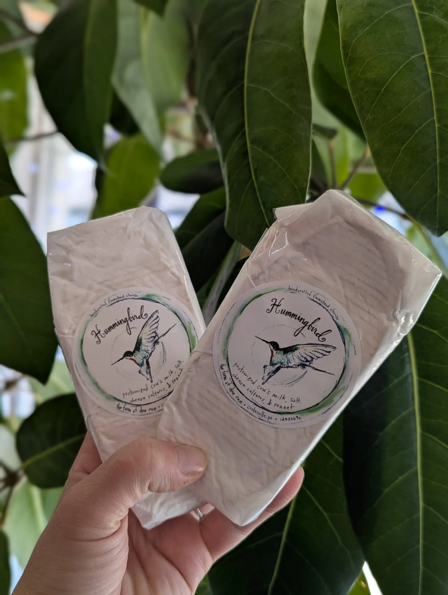 New cheeses in the case from @thefarmatdoerun. Located in Chester County, PA, The Farm at Doe Run produces small batch farmstead cheeses using milk from their herd of Jersey &amp; Normande grass-fed cows.

Hummingbird -&nbsp;inspired by Italian Robio