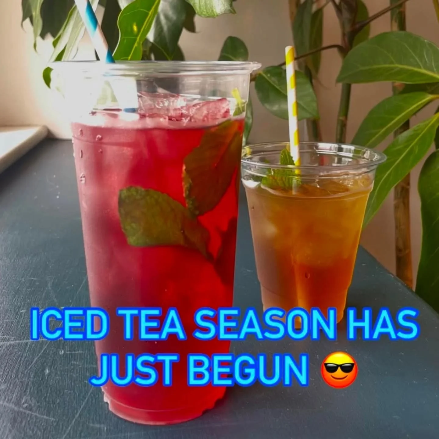 It's supposed to hit 70 today 🙌 It felt like the right day to start iced tea service! Now brewing @harneytea. All flavors are unsweetened and we offer a daily rotating selection of a Black Tea (caffeinated) and an Herbal (caffeine free) ☀️