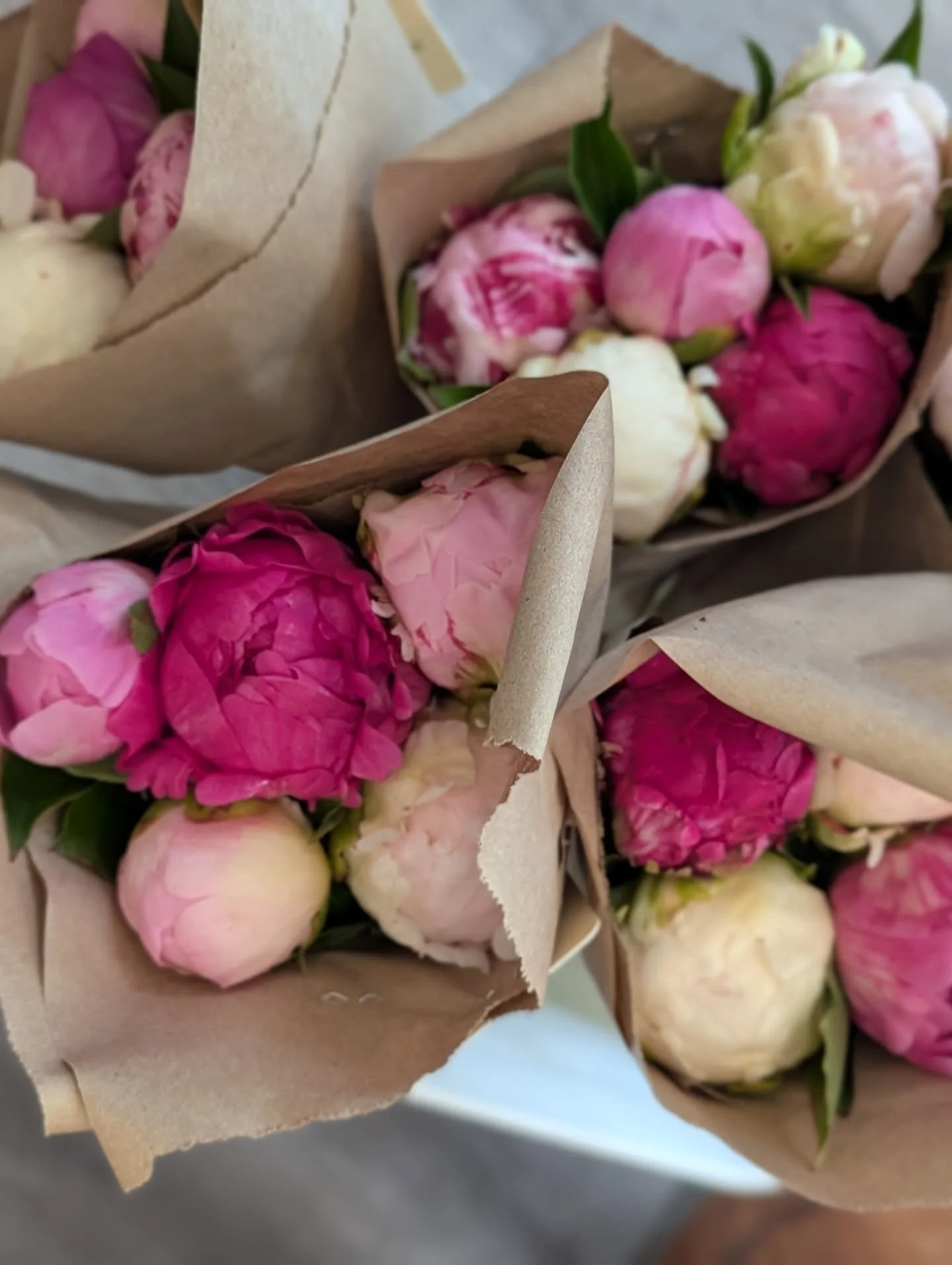 Beautiful peonies from @creekwood_peonies available in the shop this weekend!