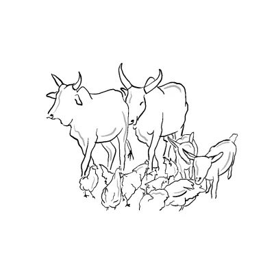 15: No Rain, No Cows: Adapting to a Drying World