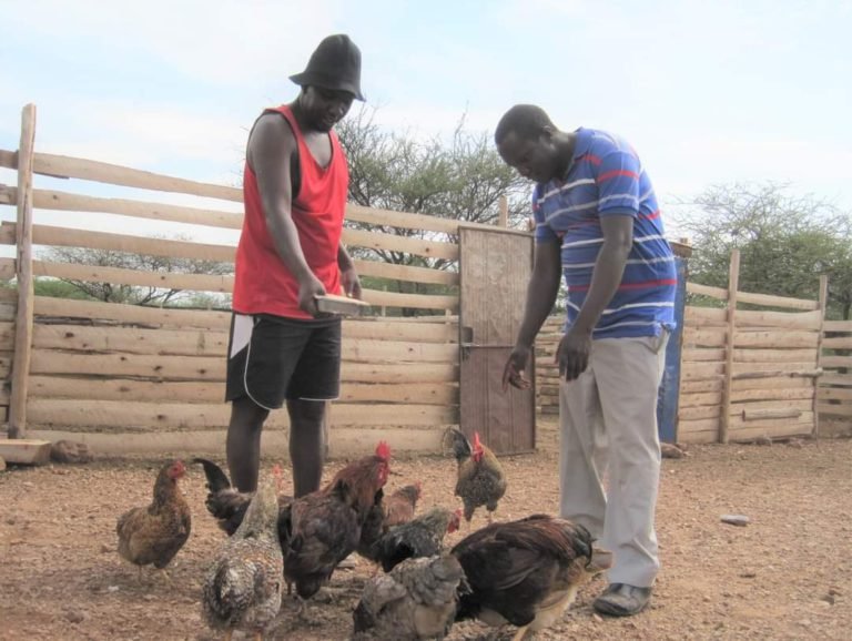   Muresi Ripau (left) and Amos Koitee feed Muresi’s chickens. Maasai didn’t traditionally raise chickens, but they are becoming popular because they are cheap and relatively easy to raise.  Photo contributed by Joel Lankas.   