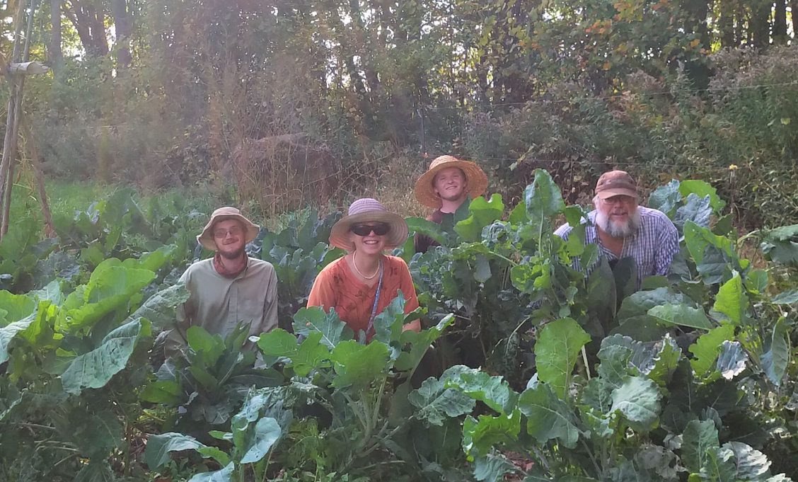   The Wiederkehr family poses in a patch of perennial kale. Theo, Ruth, Andre and Miles Wiederkehr (featured from left to right) have lived on their 100-acre farm in Ontario, Canada, for over a decade. In the last few years, since Theo and Andre grad