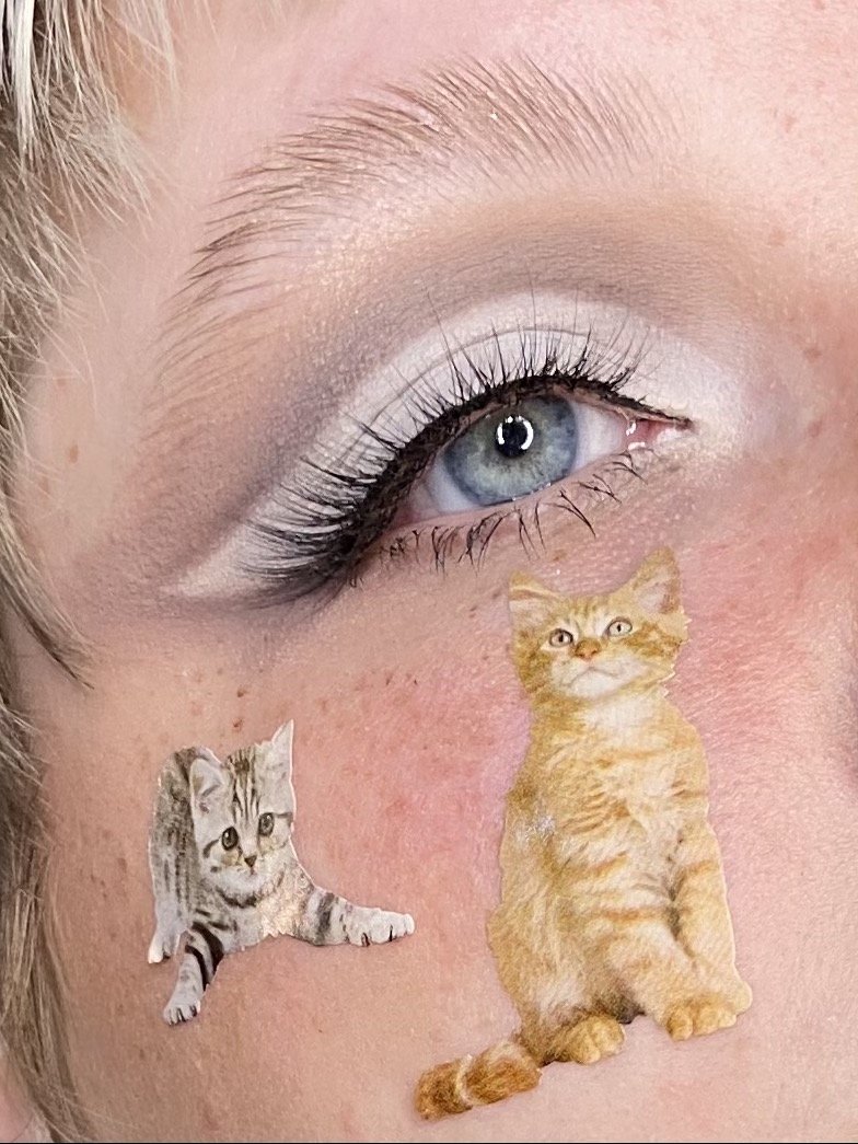 Bby kitty stickers, February 2021 
