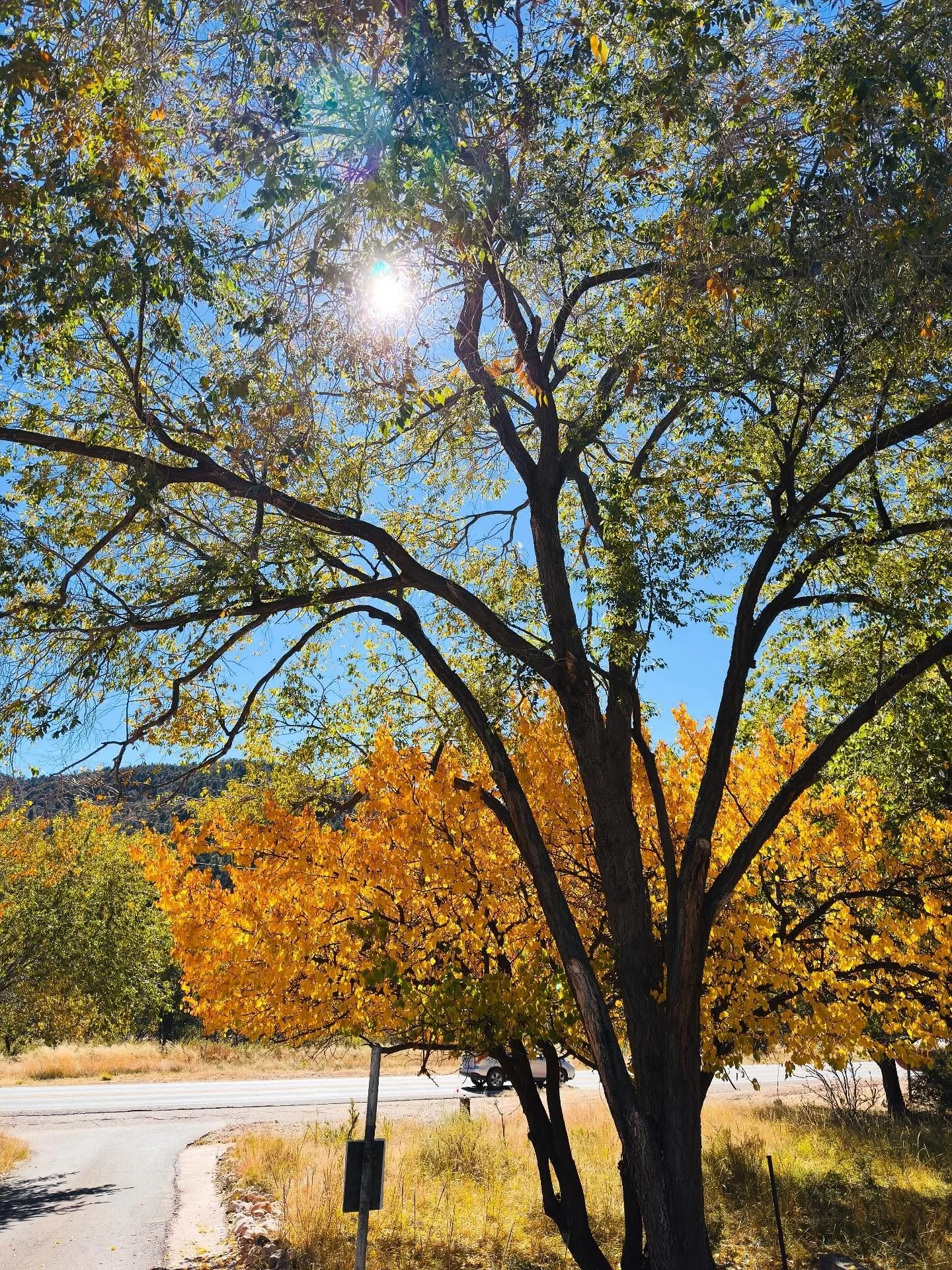 It is a beautiful, sunny and colorful fall this year! Perfect hiking weather :) #cloudcrofthostel