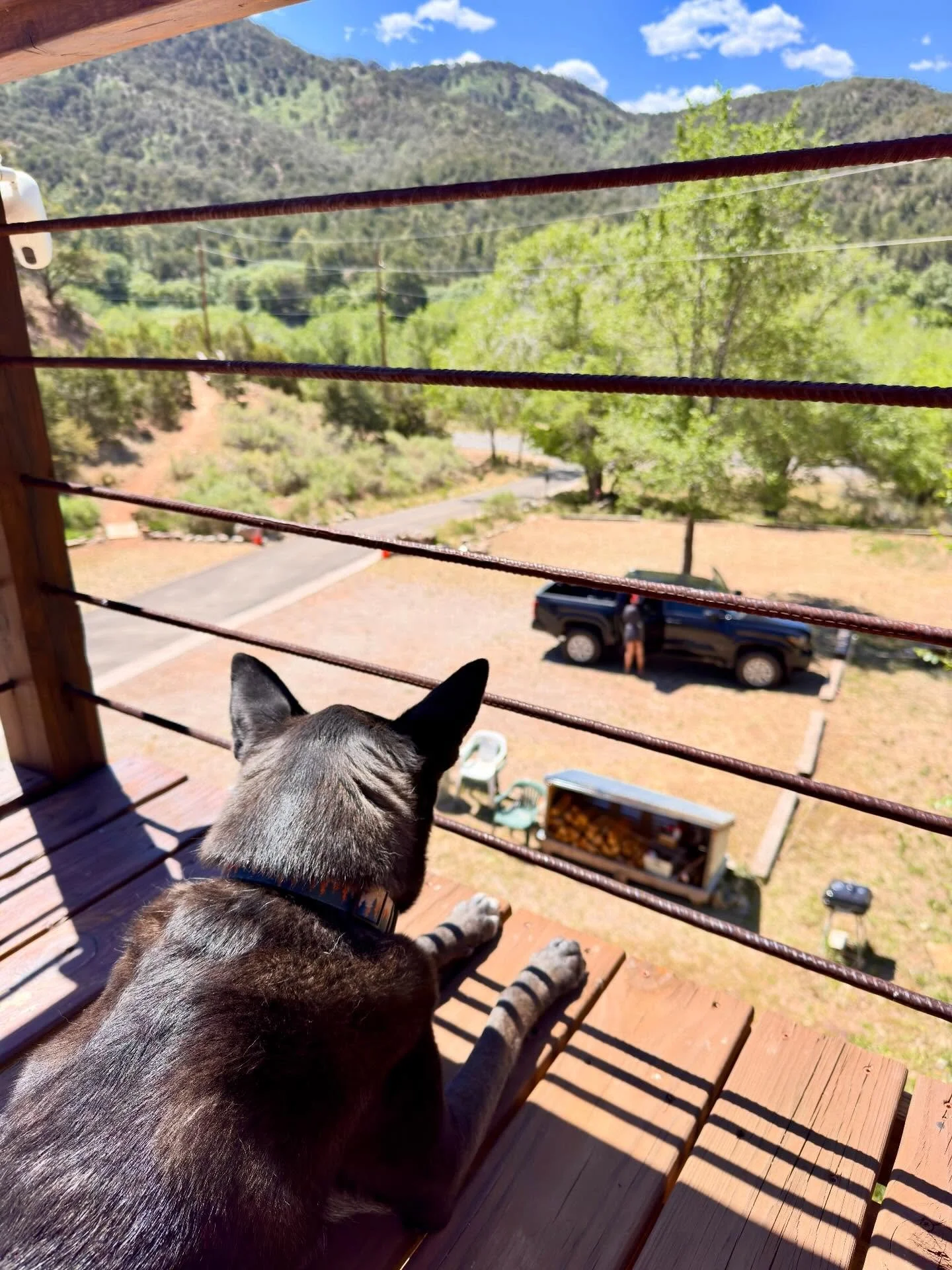 It&rsquo;s a beautiful day on this Memorial Day weekend! Lilly saying goodbye to our guest. 😍 #cloudcrofthostel