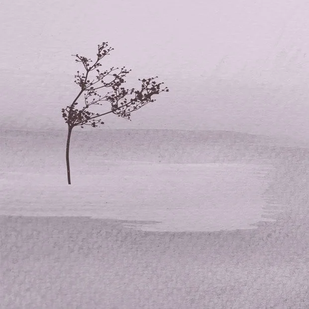 Neu und frisch gedruckt: Winterliche Collage als Postkarte. Im Laden und
immer gerne auch auf Bestellung. Serie mit 4 Motiven. #wintertree #collageartwork #wintermood #postkartendesign #tuebingen #weihnachtskarte