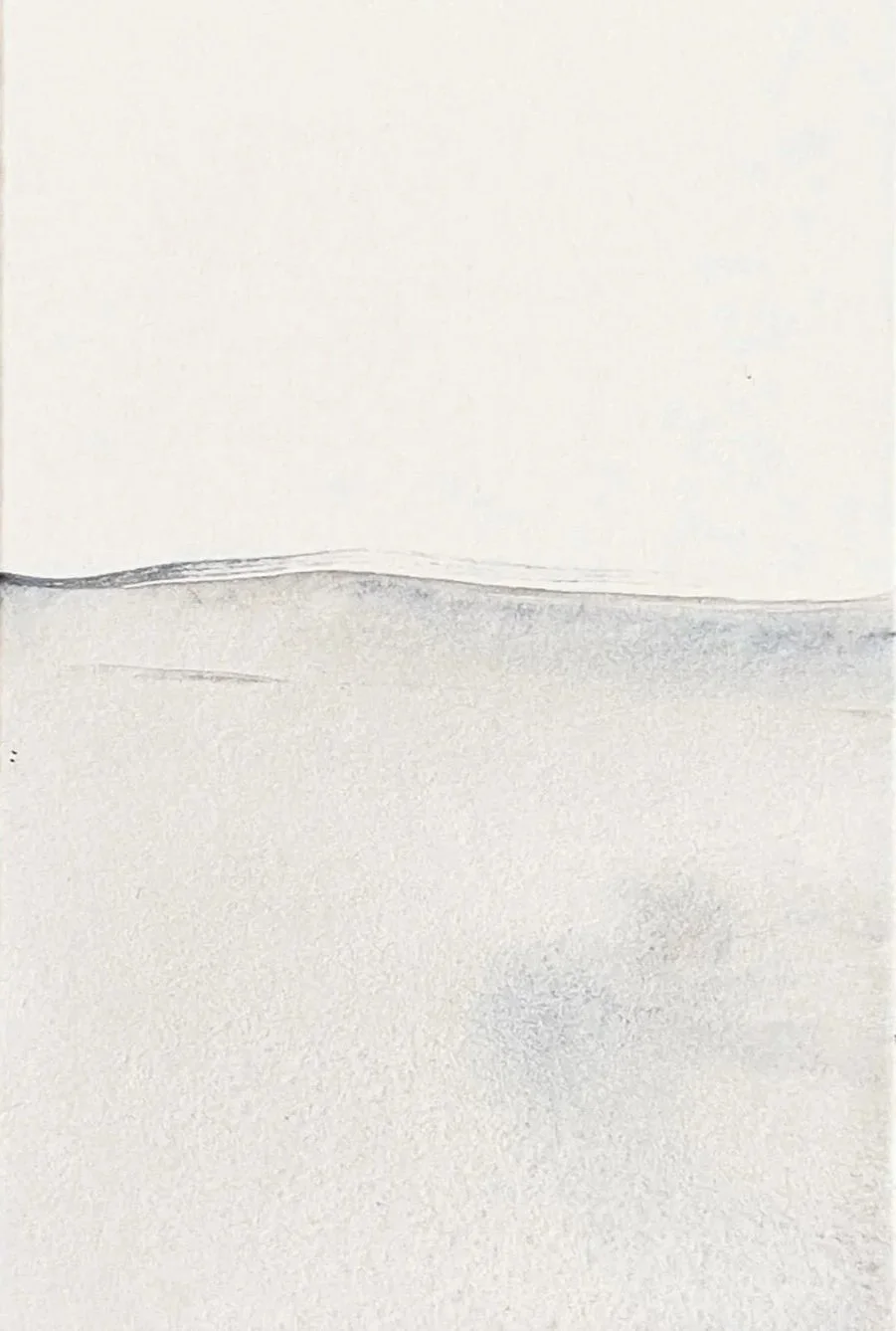 Schneelandschaft mit flachem Horizont und frostbedecktem Boden, in dezenten Grautönen gehalten.