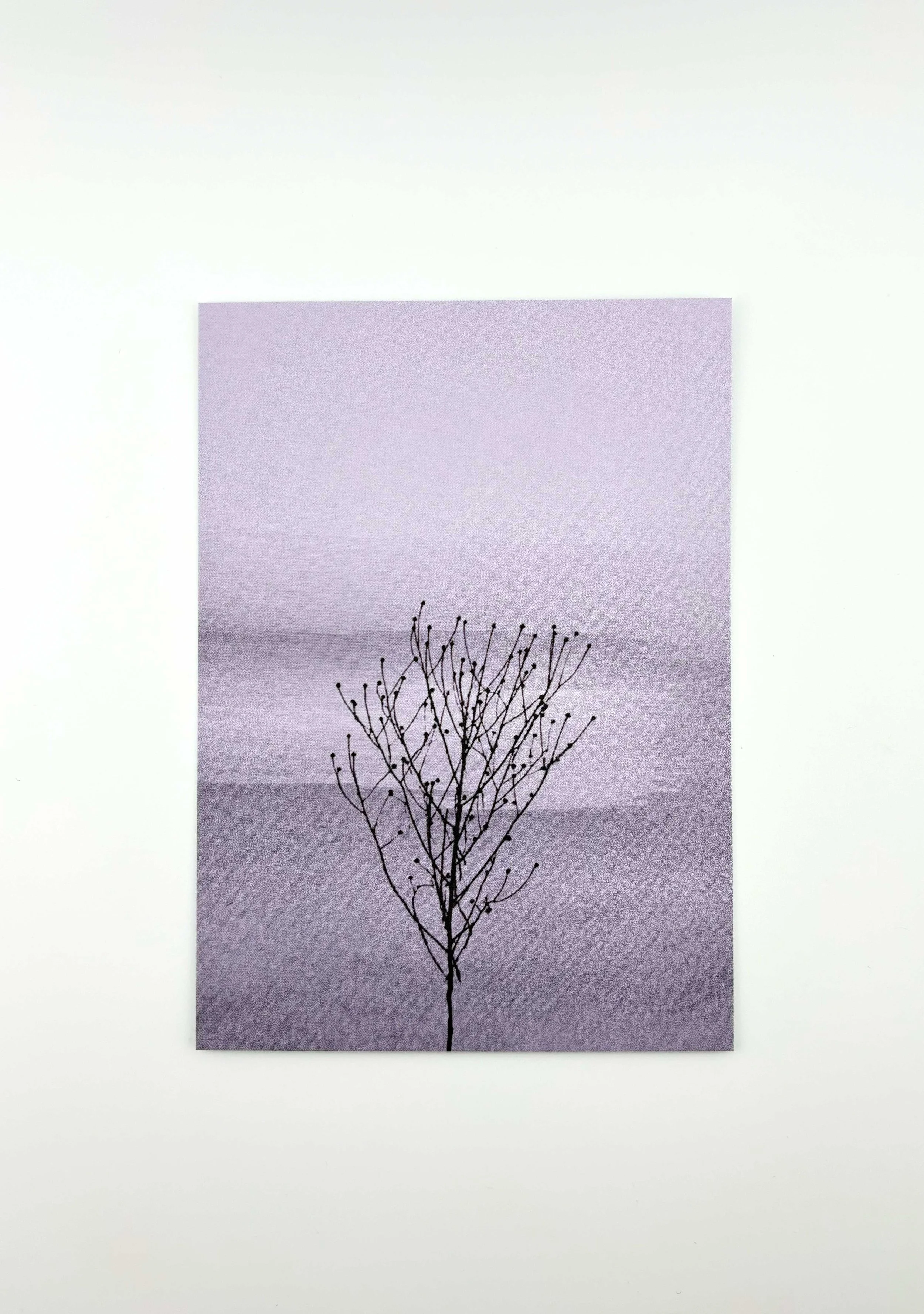 Kunstpostkarte Collage Pflanze