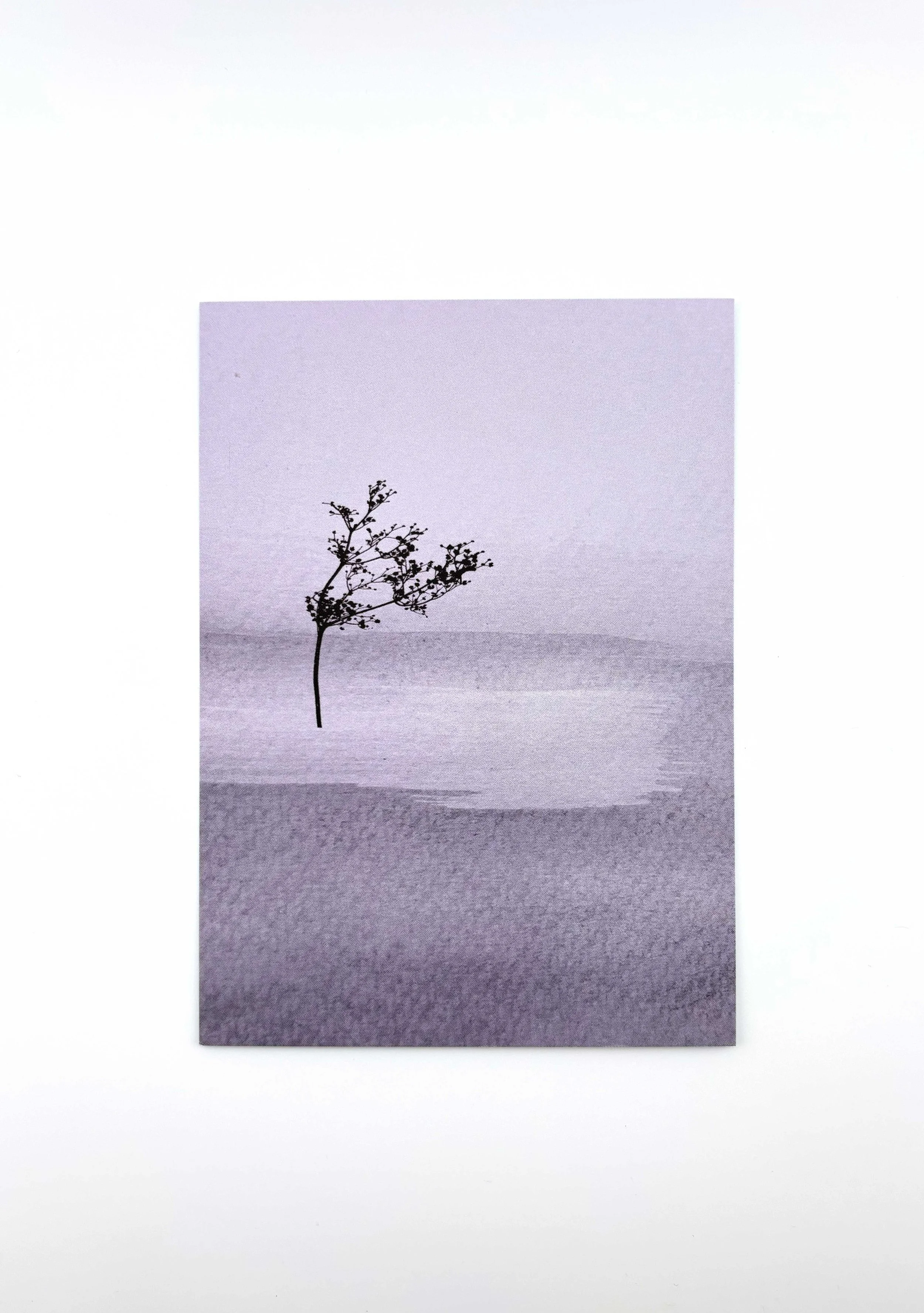 Kunstpostkarte Collage Pflanze