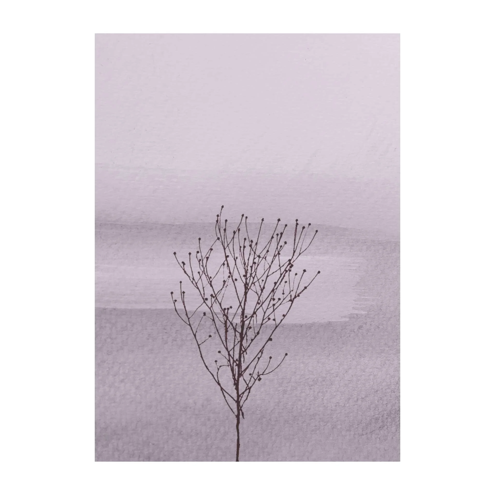 Postkarten-Set Winterwald