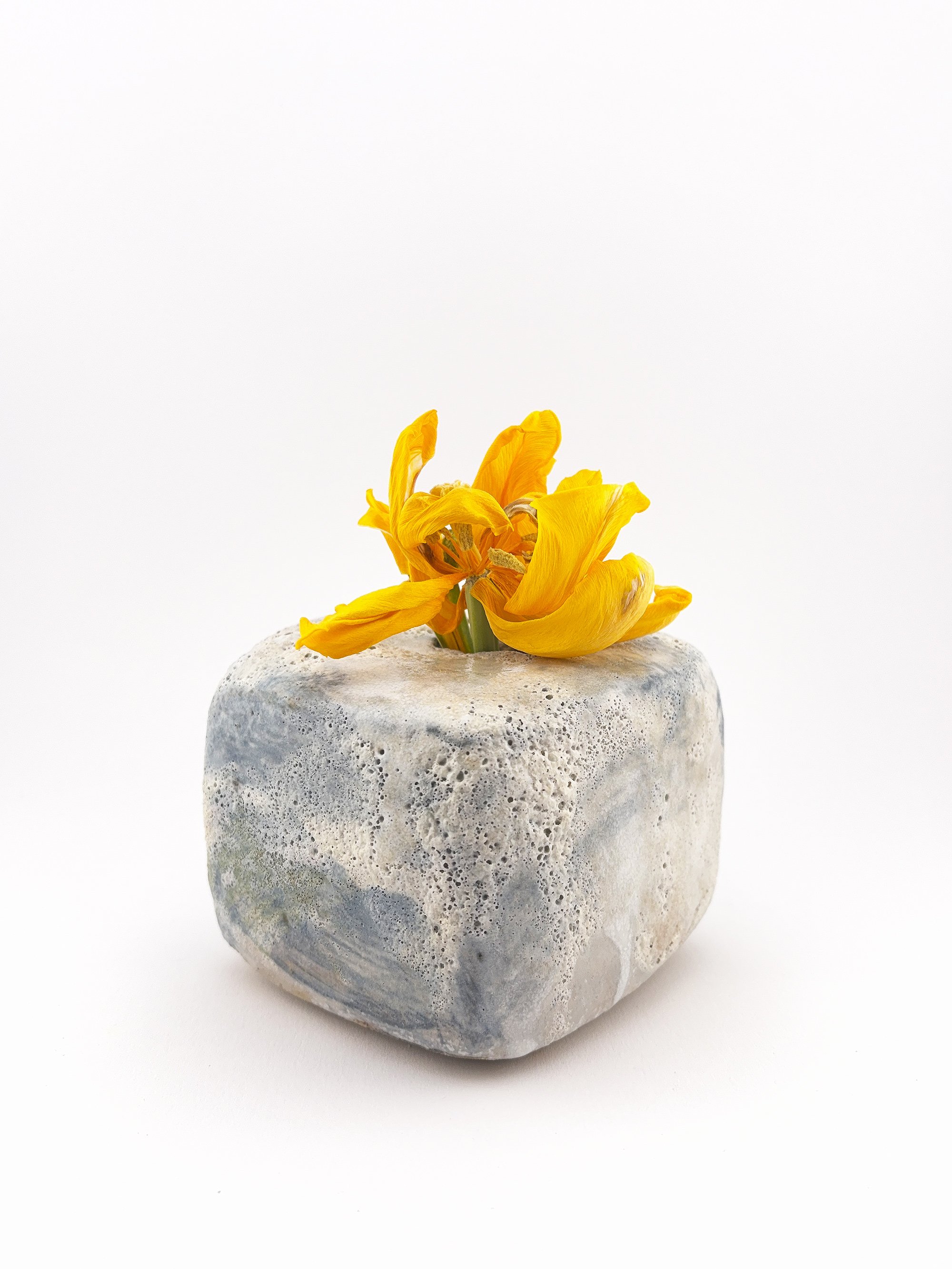 Eine gelbe Tulpe in einer quadratischen Keramikvase auf weißem Hintergrund.