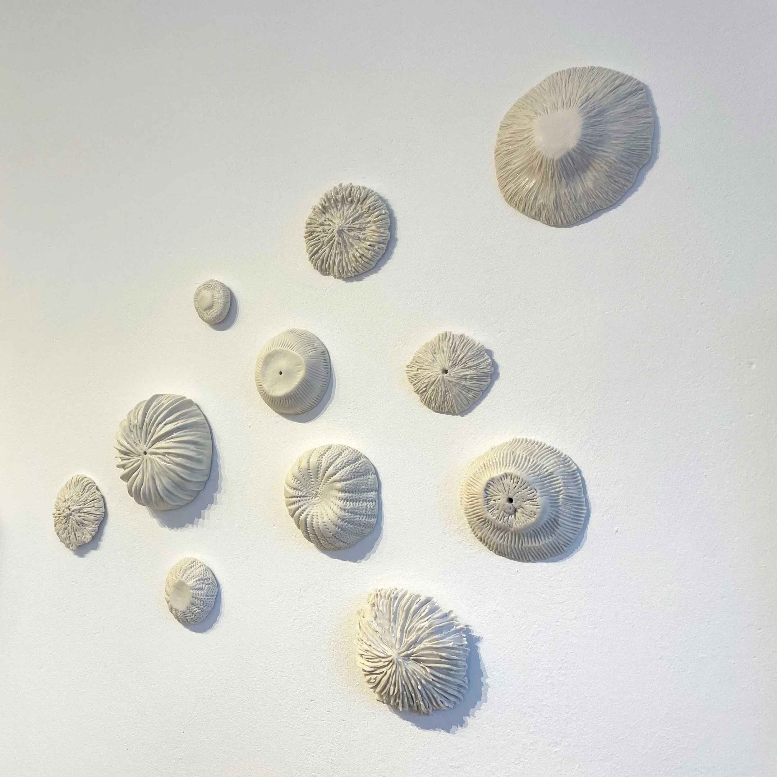 Sea Creatures_2_2.jpg