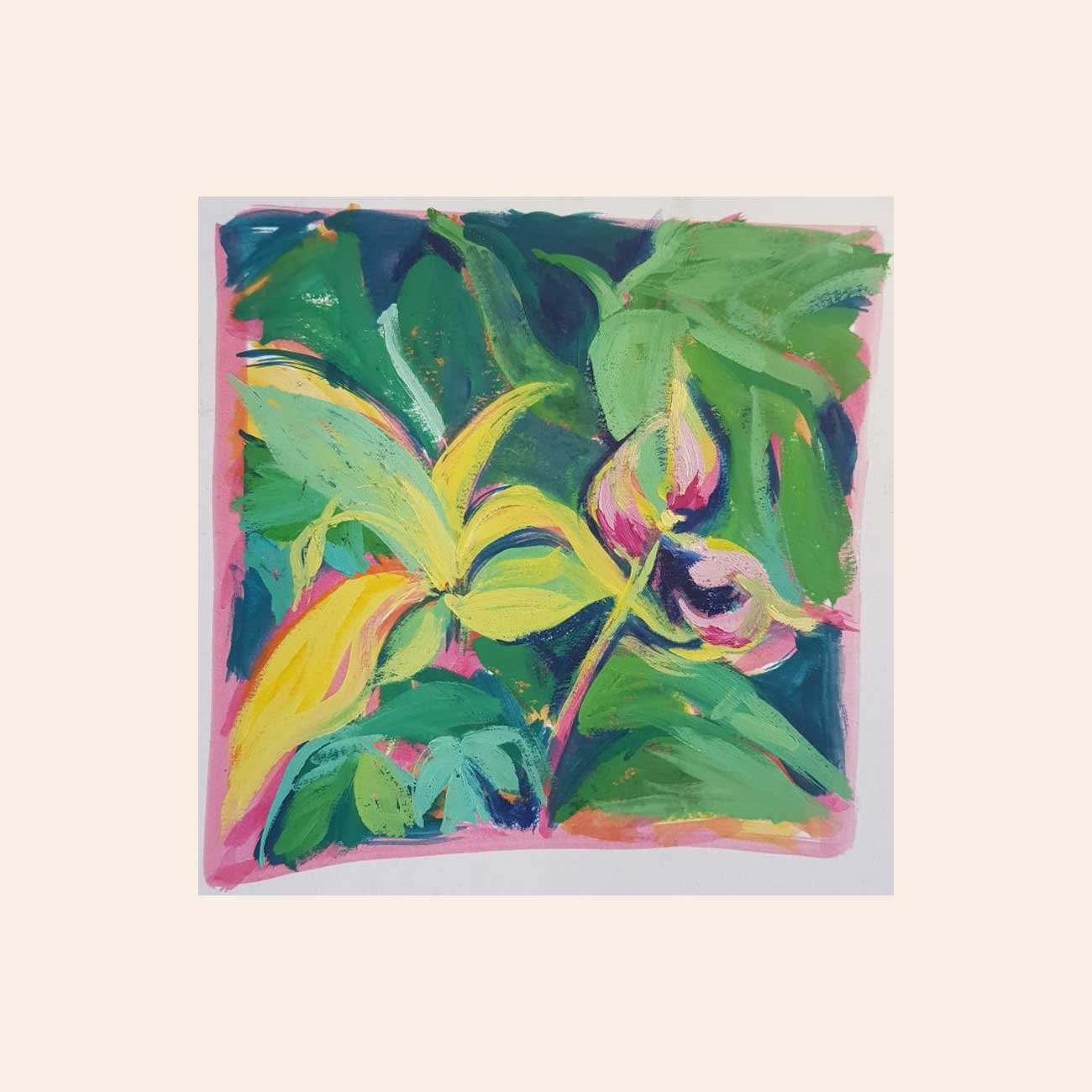 PlanteTropicale3.jpg