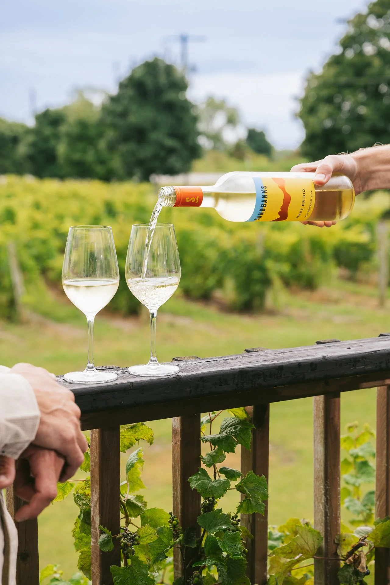 hand pouring a bottle of white wine into a glass resting on a deck rail overlooking a vineyard