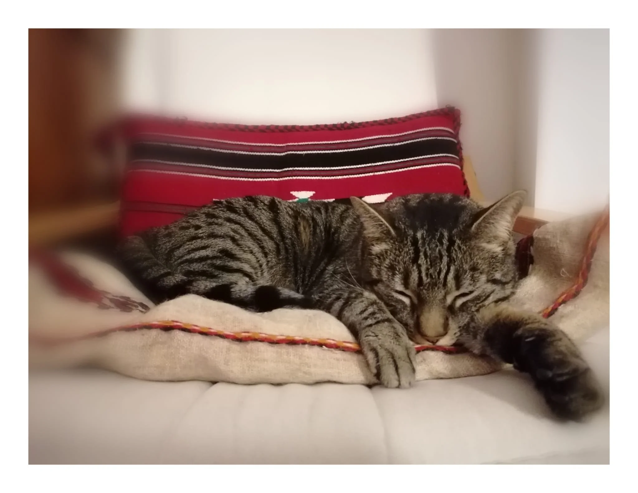 WhatsApp Image 2024-06-20 at 11.34.29.jpeg