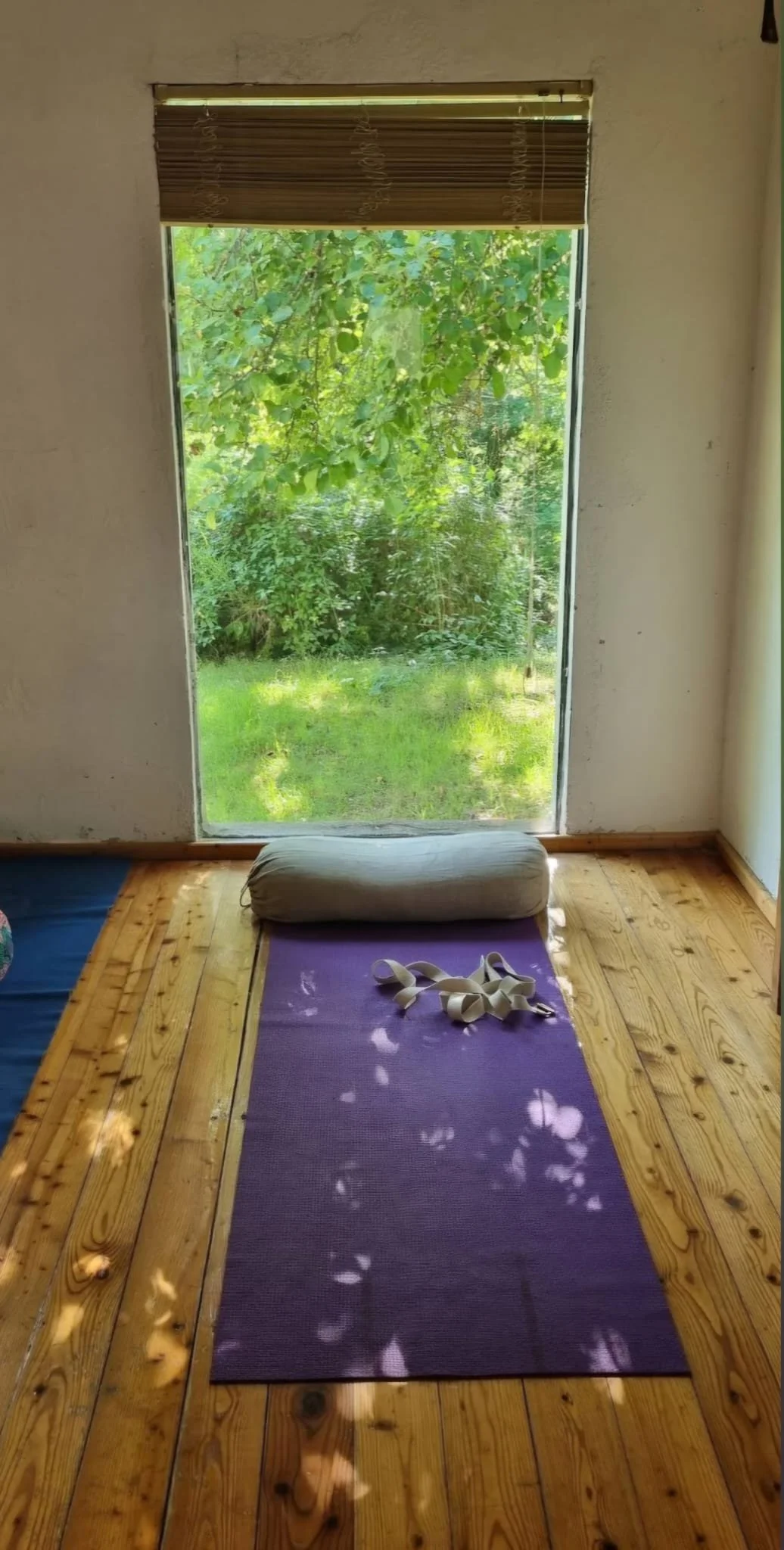 WhatsApp Image 2026-03-04 at 14.28.48.jpeg