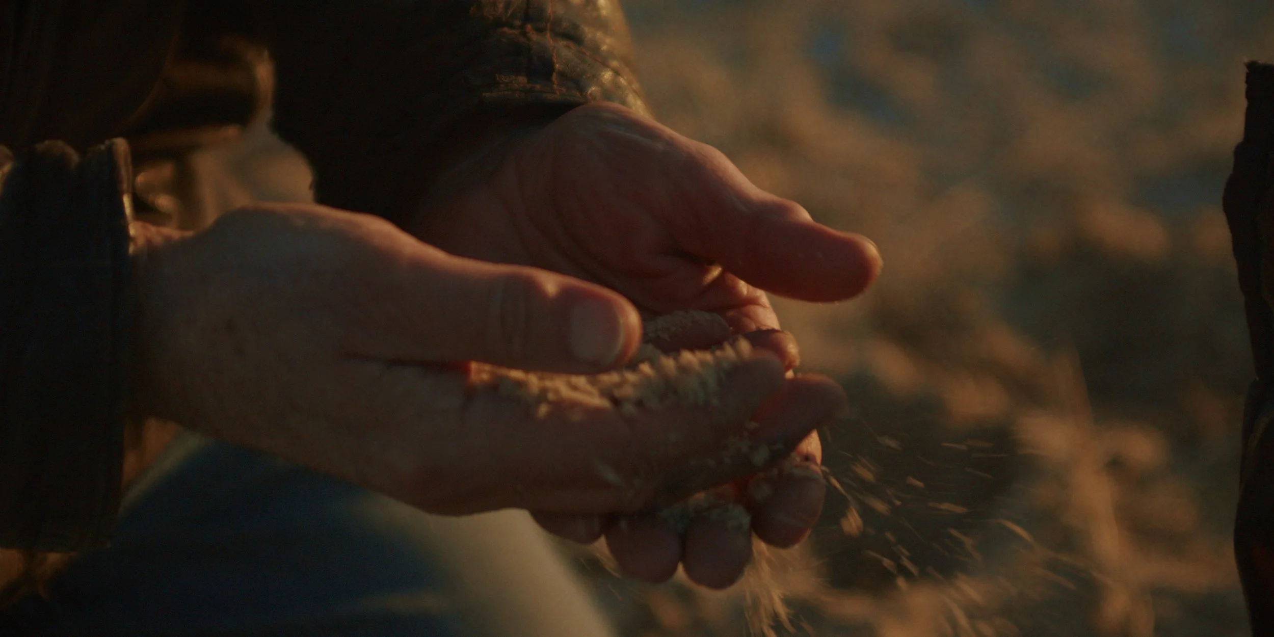 Stills_final_4.1.26.jpg
