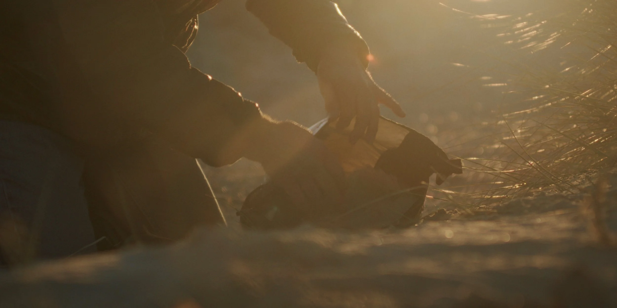 Stills_final_4.1.25.jpg