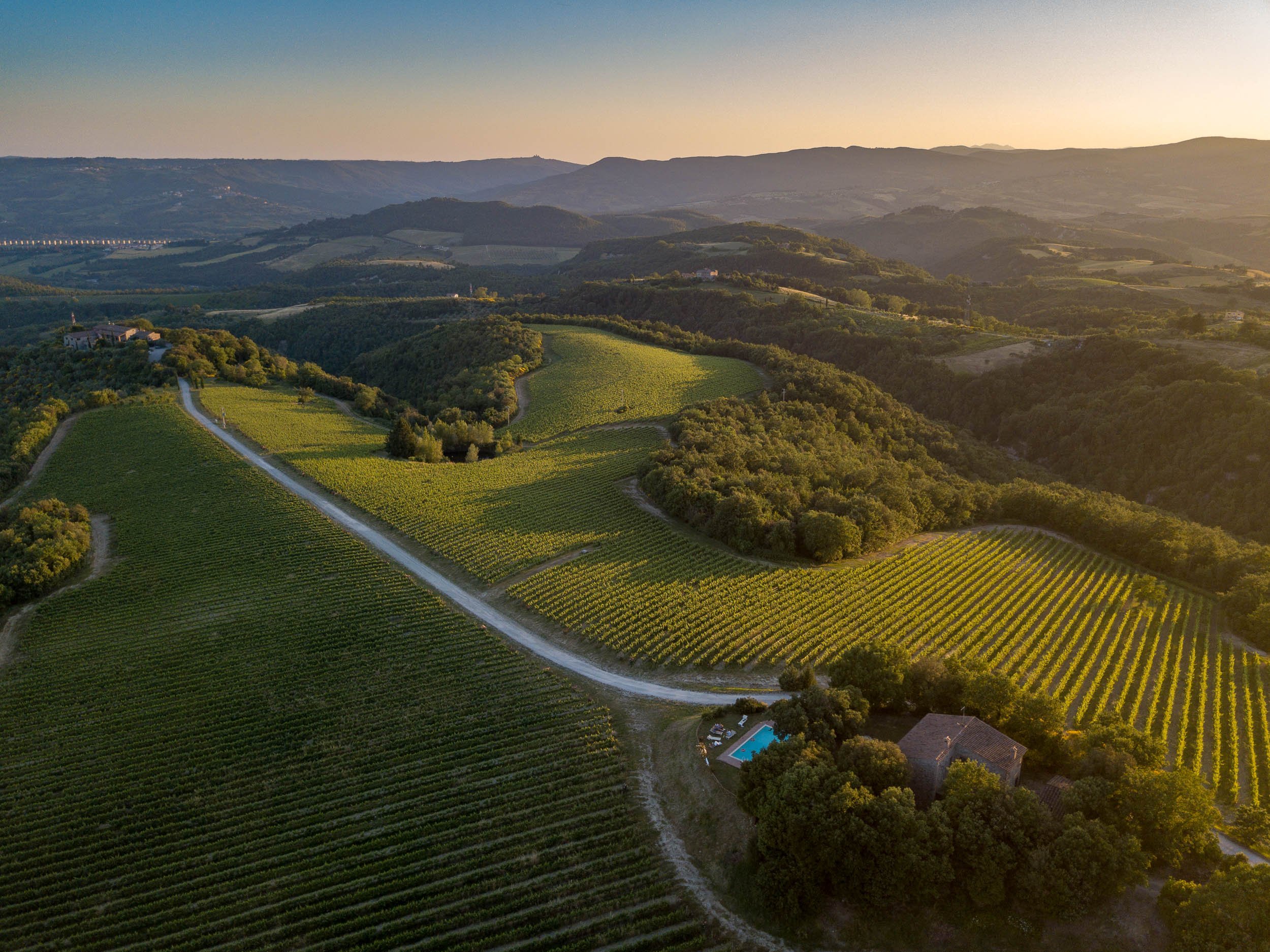 20190616-DJI_0050.jpg