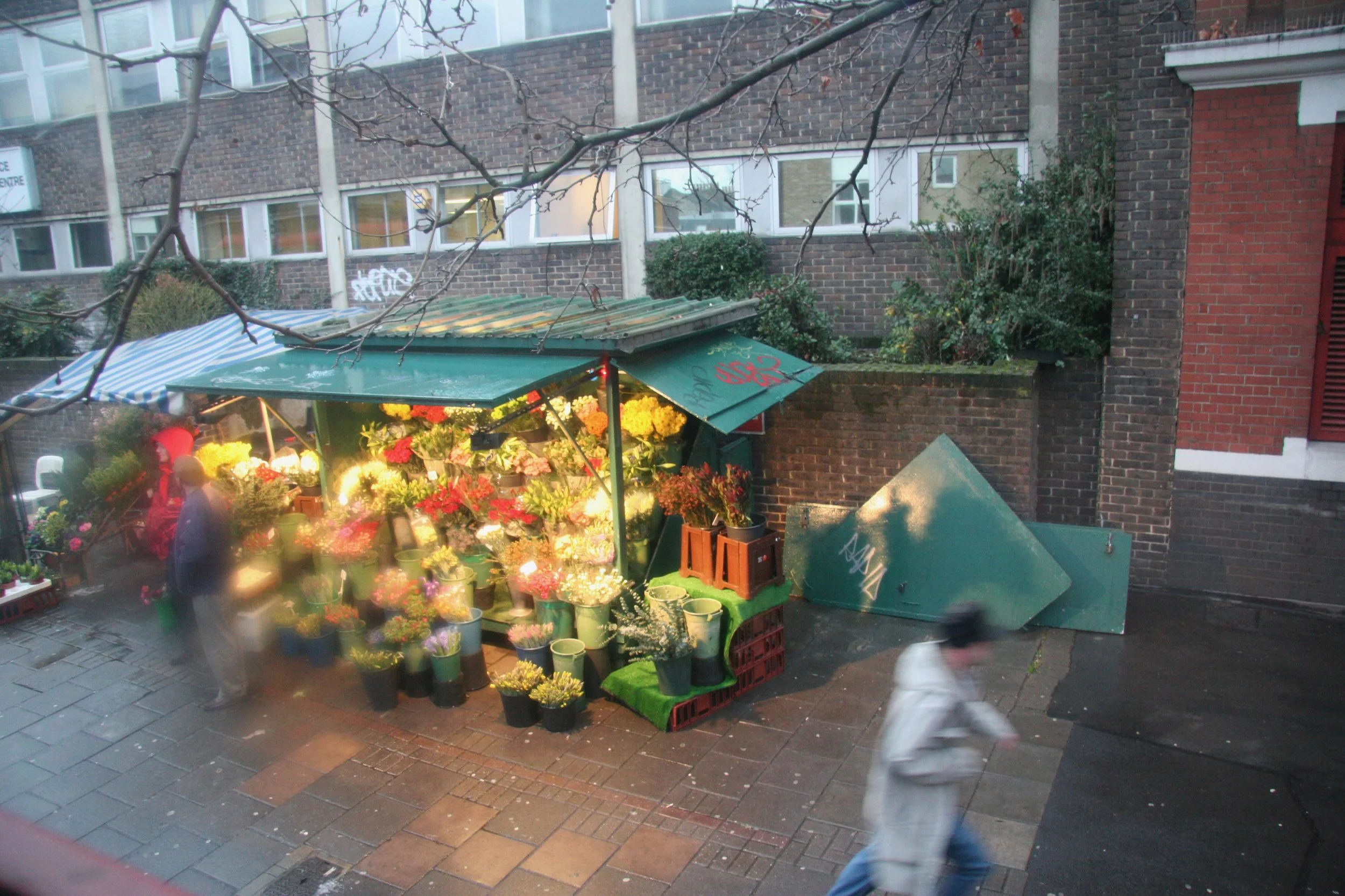 20050225-Picture 025824.jpeg