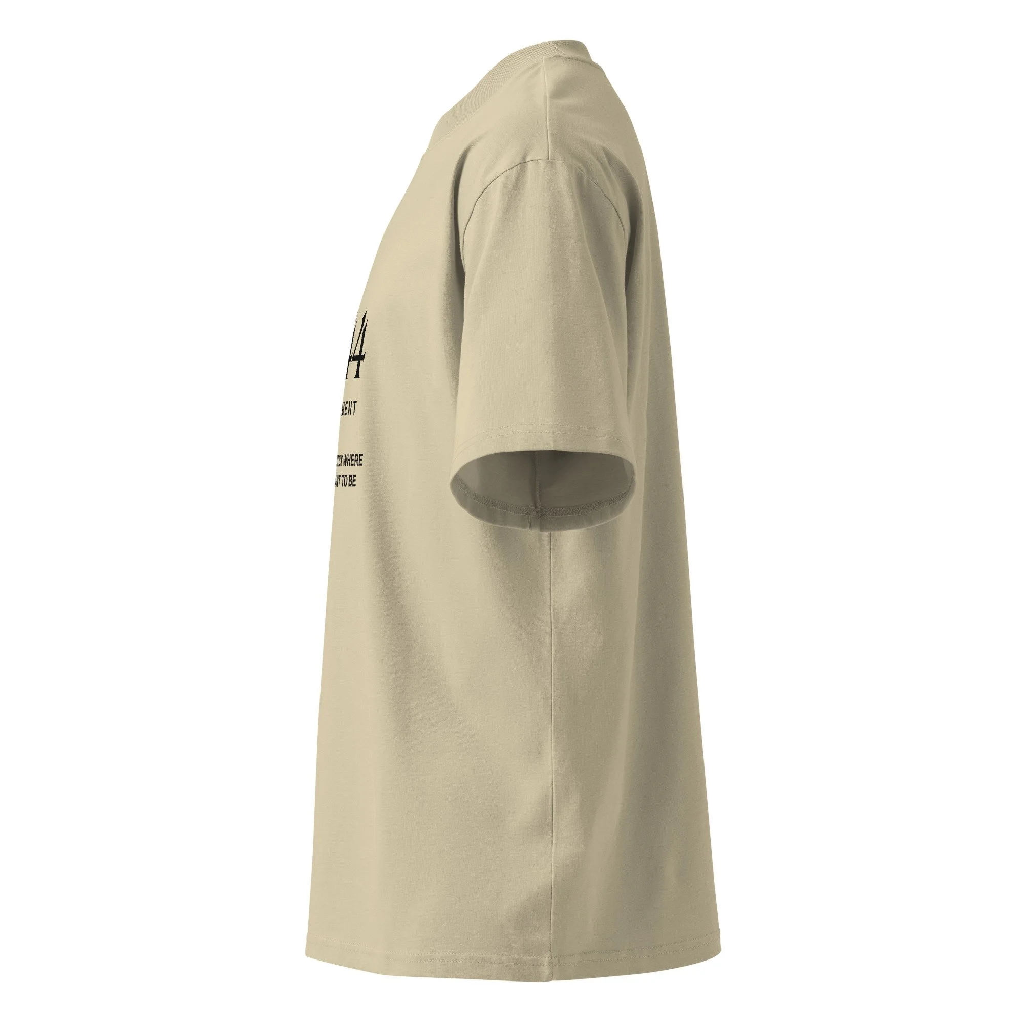 unisex-organic-oversized-high-neck-t-shirt-stone-left-688d5a6513756.jpg