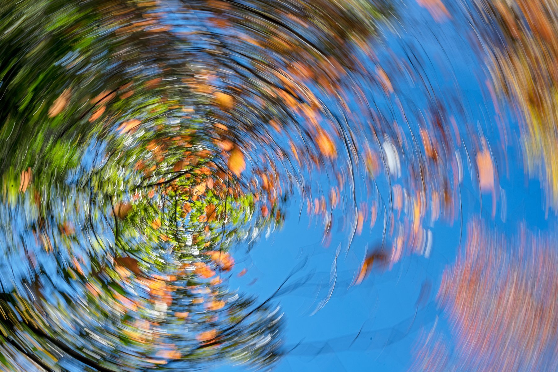 Fall Vortex with Falling Leaves2938.jpg
