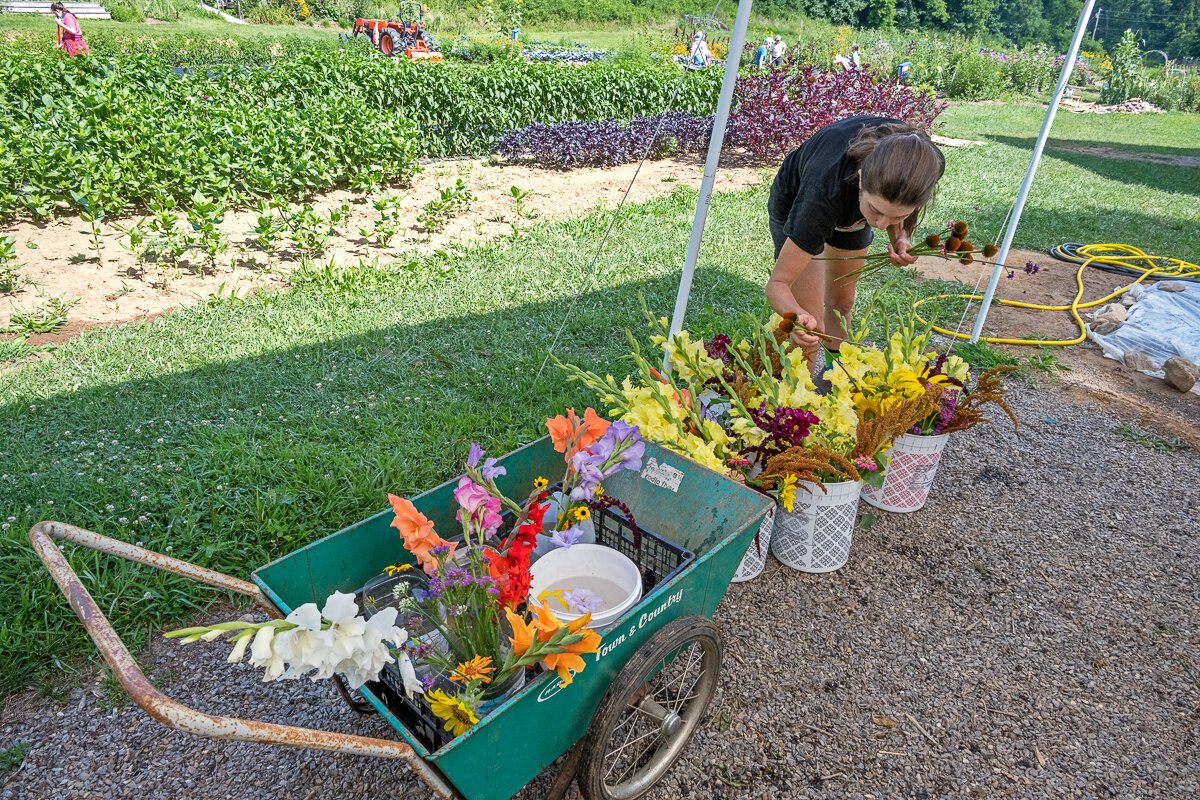 Getting the Flowers Ready for the CSA1016.jpg