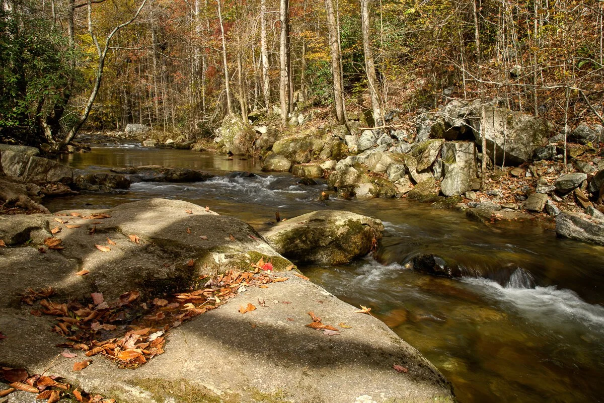Shadows on Boulders along the Jacob Fork River