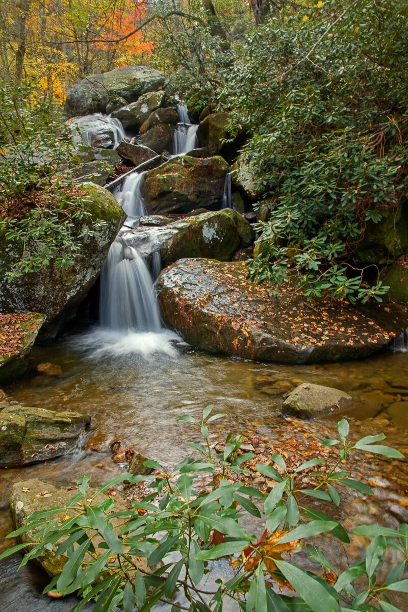 Shoals and Fall Color