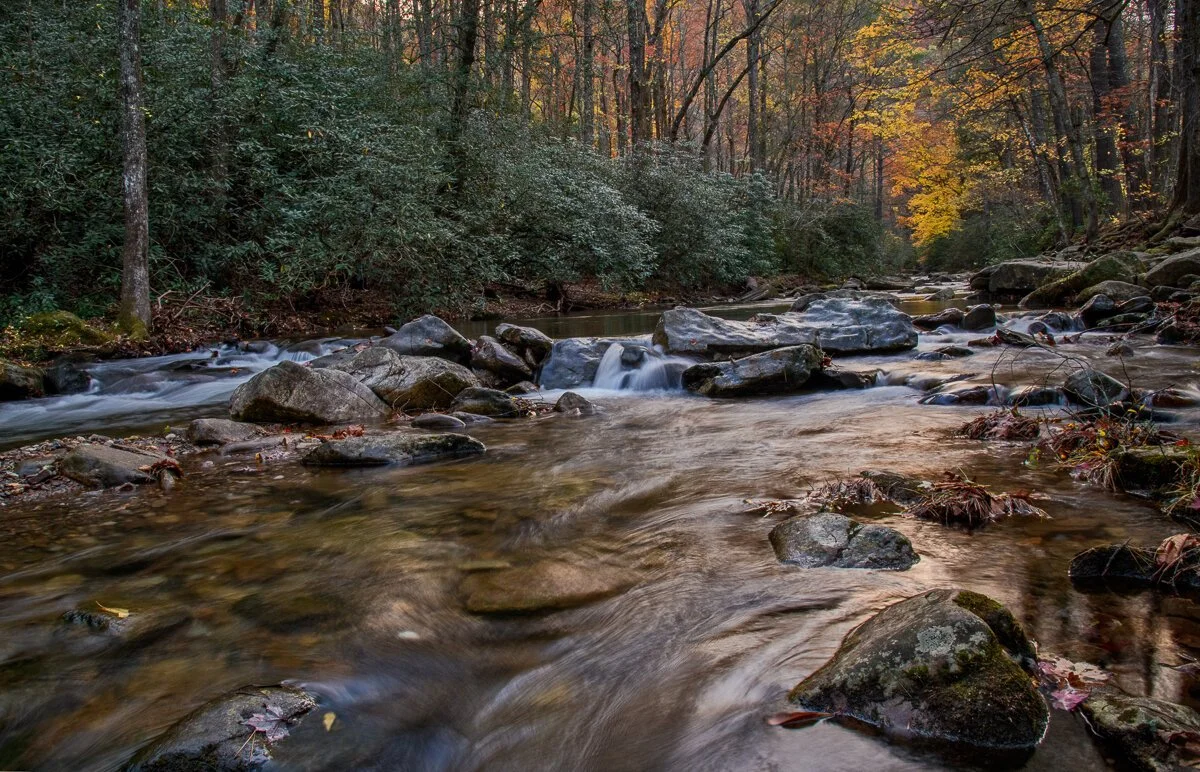 Dusk along Jacob Fork River