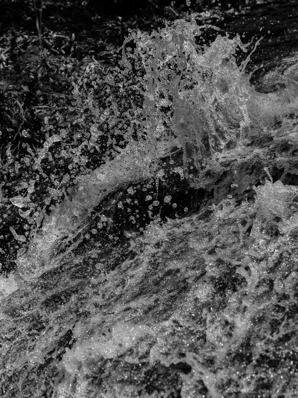 Jumping Water, Bartram Triail  4918.jpg