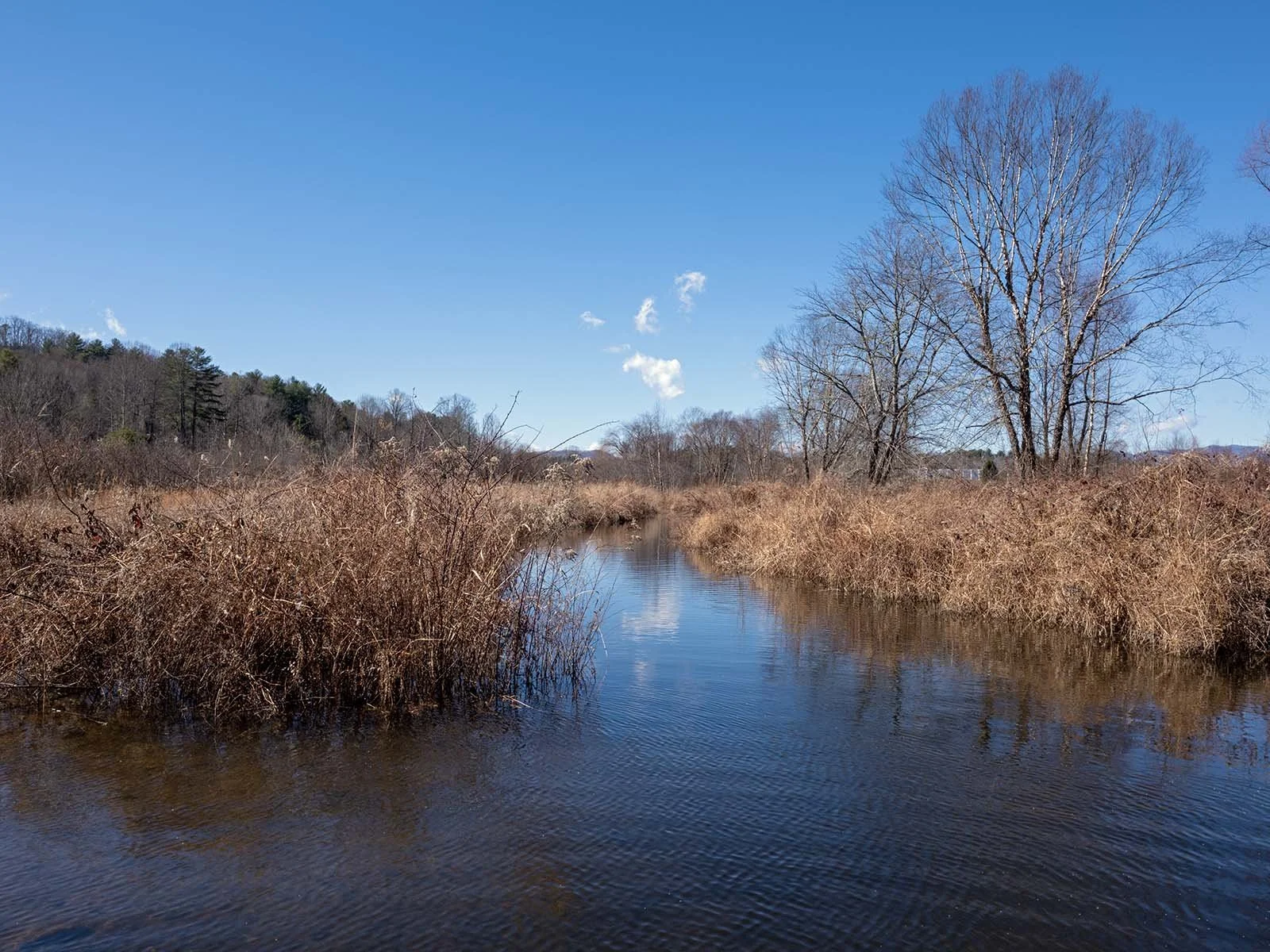 Confluence of the Stream and Willow CreekF0490 copy.jpg