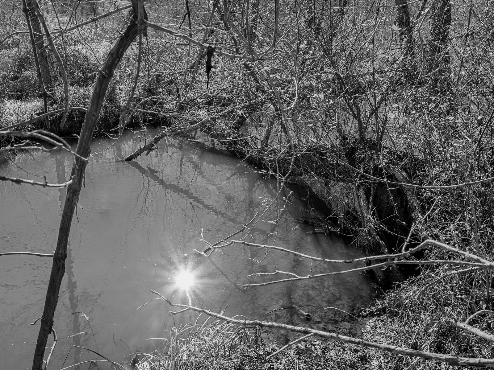 Illuminating Chaos and Snags in the Stream of LifeF0516 copy.jpg