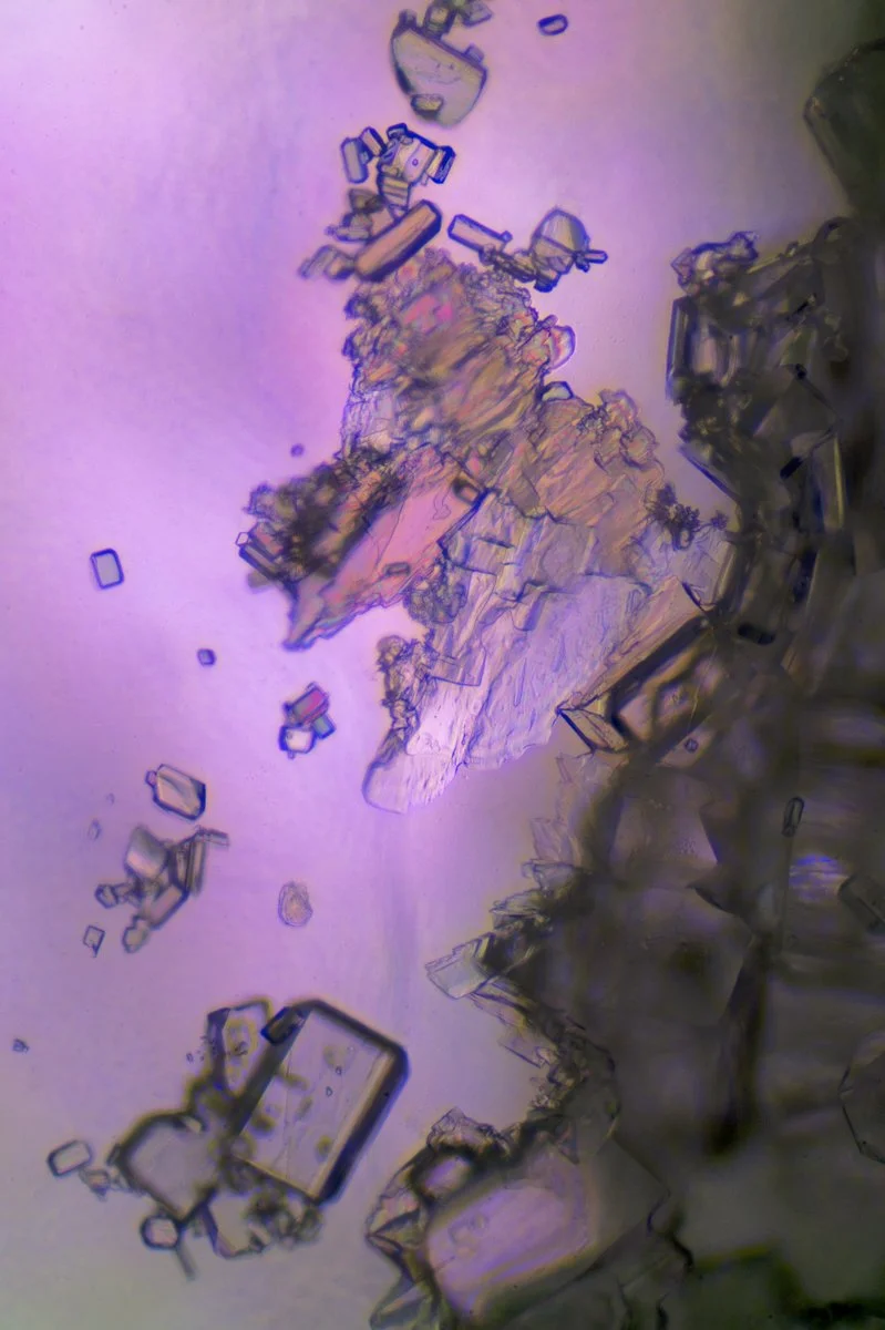 Ten Step Citric Acid Crystals2026-08-03 19-49-50 (B,R8,S6).jpg