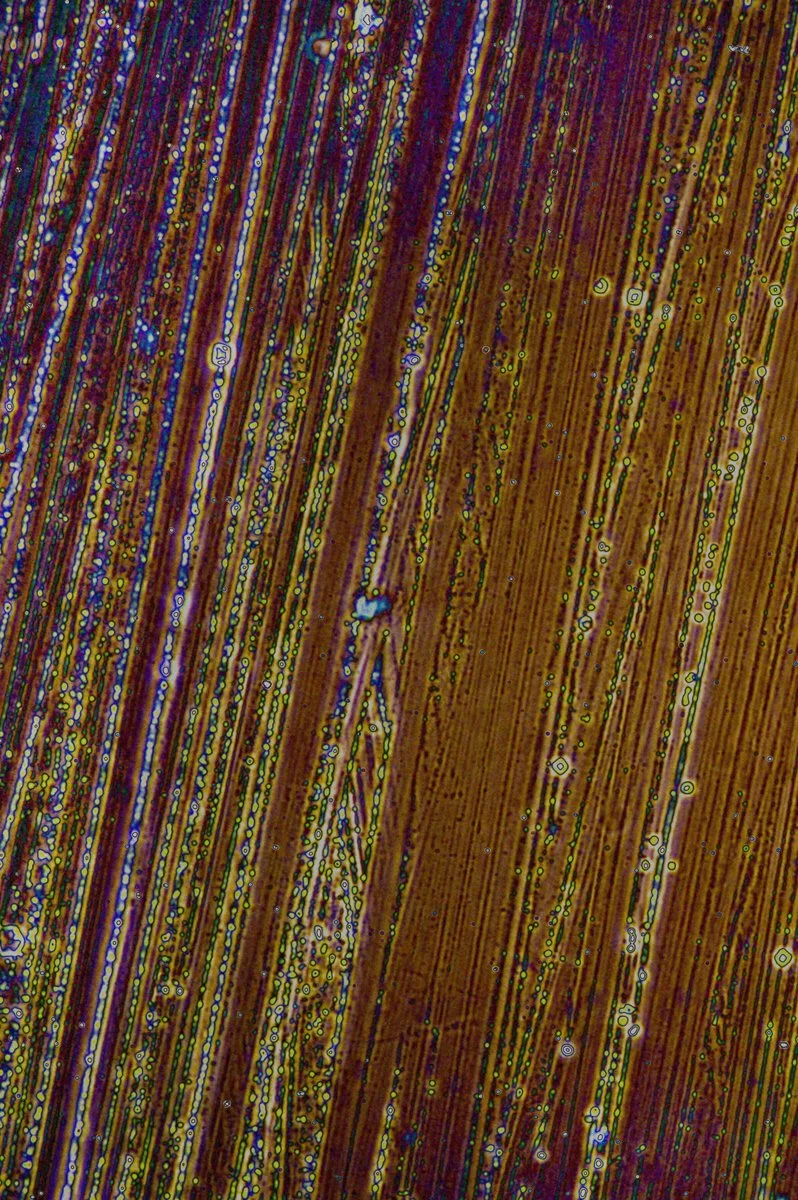 Pinus Mature Wood 2026-08-03 22-20-01 (B,R14,S9).jpg