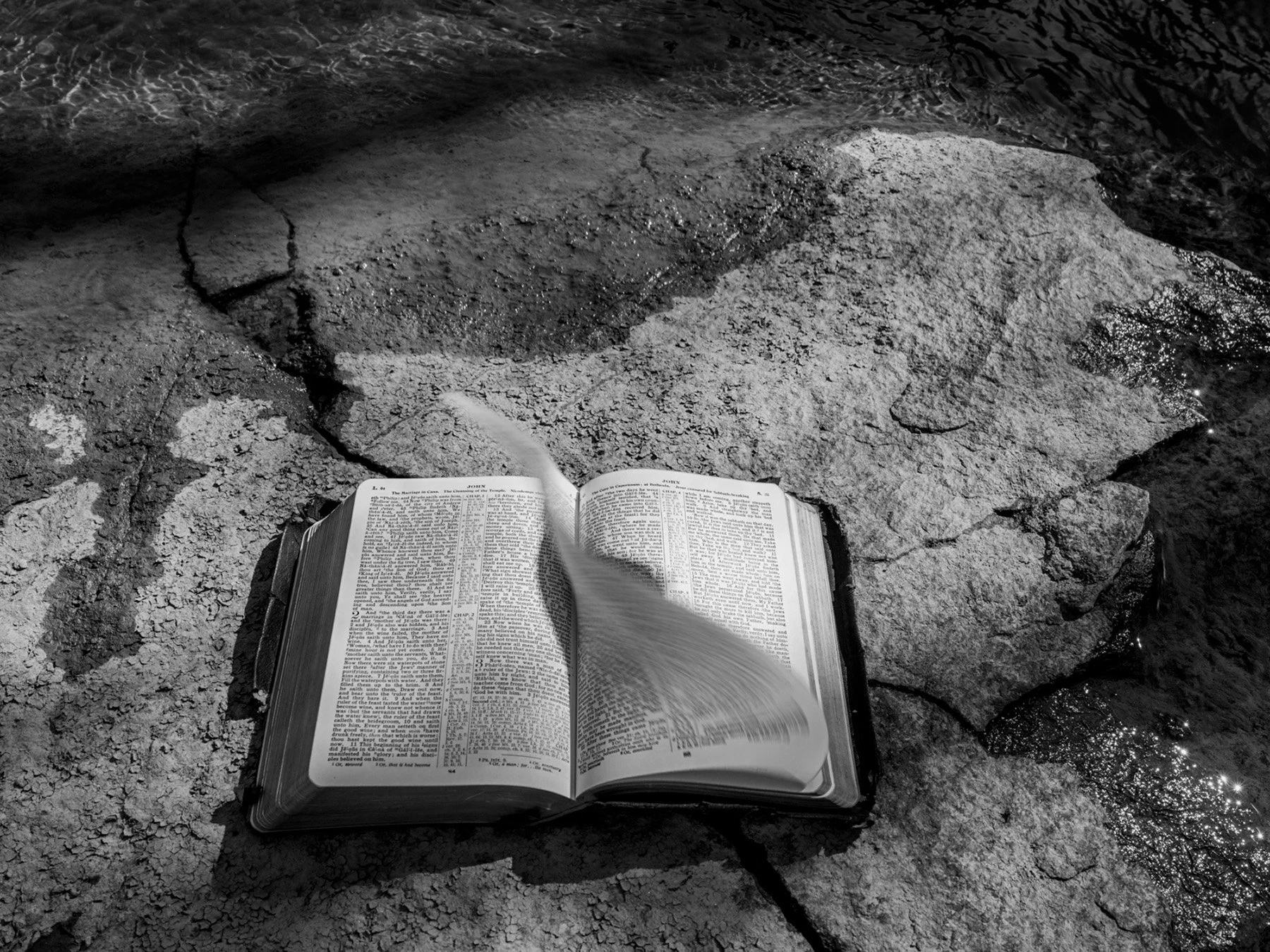 12_LynneBuchanan_The Living Word.jpg