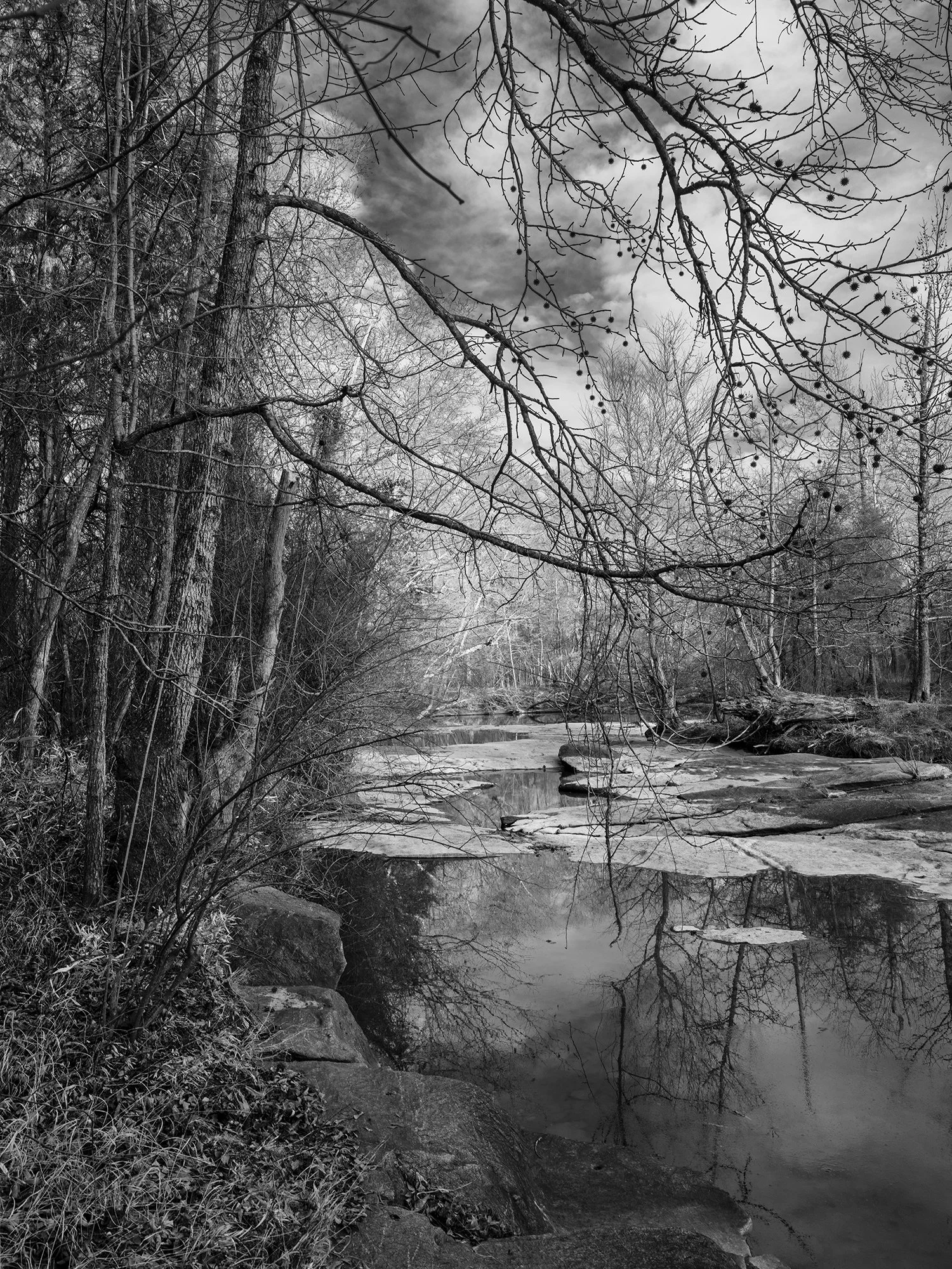 20. Upper Shoals, The Trees, Geology, Water and Me.jpg