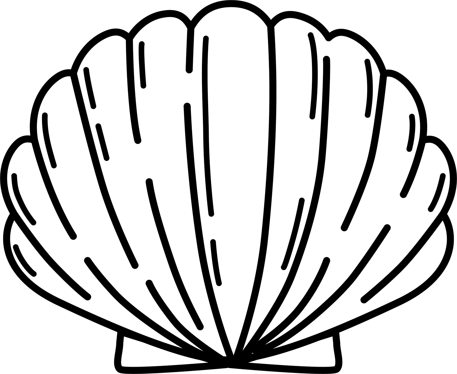 Black and white line drawing of a scallop shell.