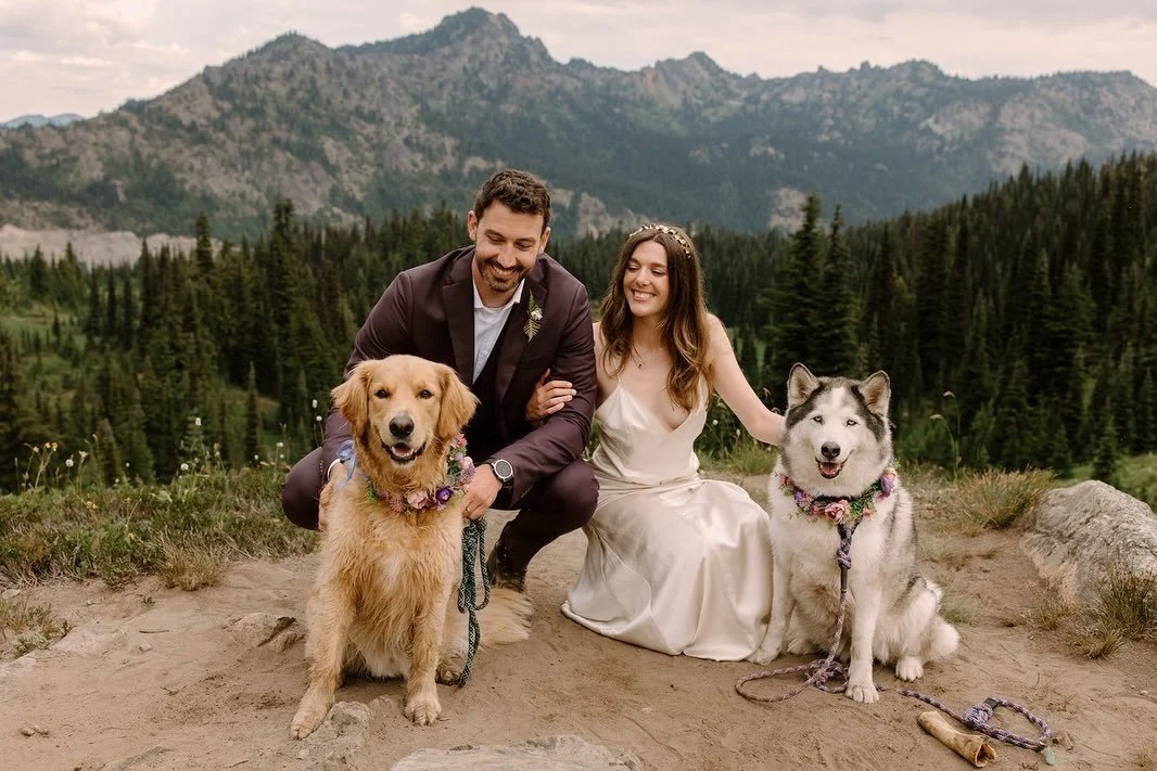 POV: You want to elope in a national park, but you can&rsquo;t imagine getting married without your dogs by your side&hellip;say no more 🐾

Caitlin and Will absolutely nailed it for their Mount Rainier elopement, and there were no pups left behind! 