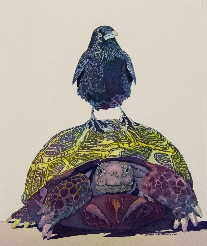   “Hitchhiker”    Watercolor   12” x 9” 